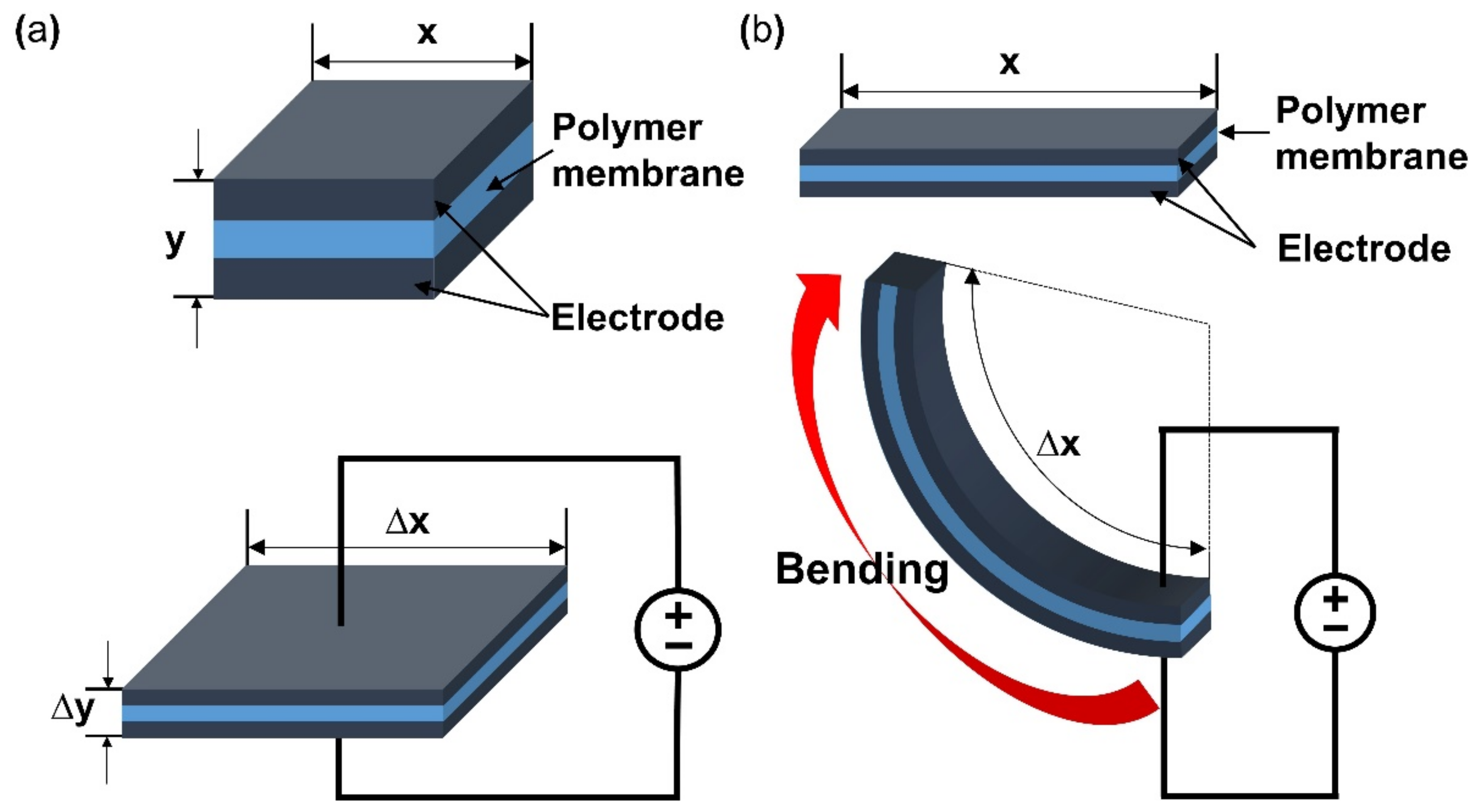 Micromachines 13 01290 g002