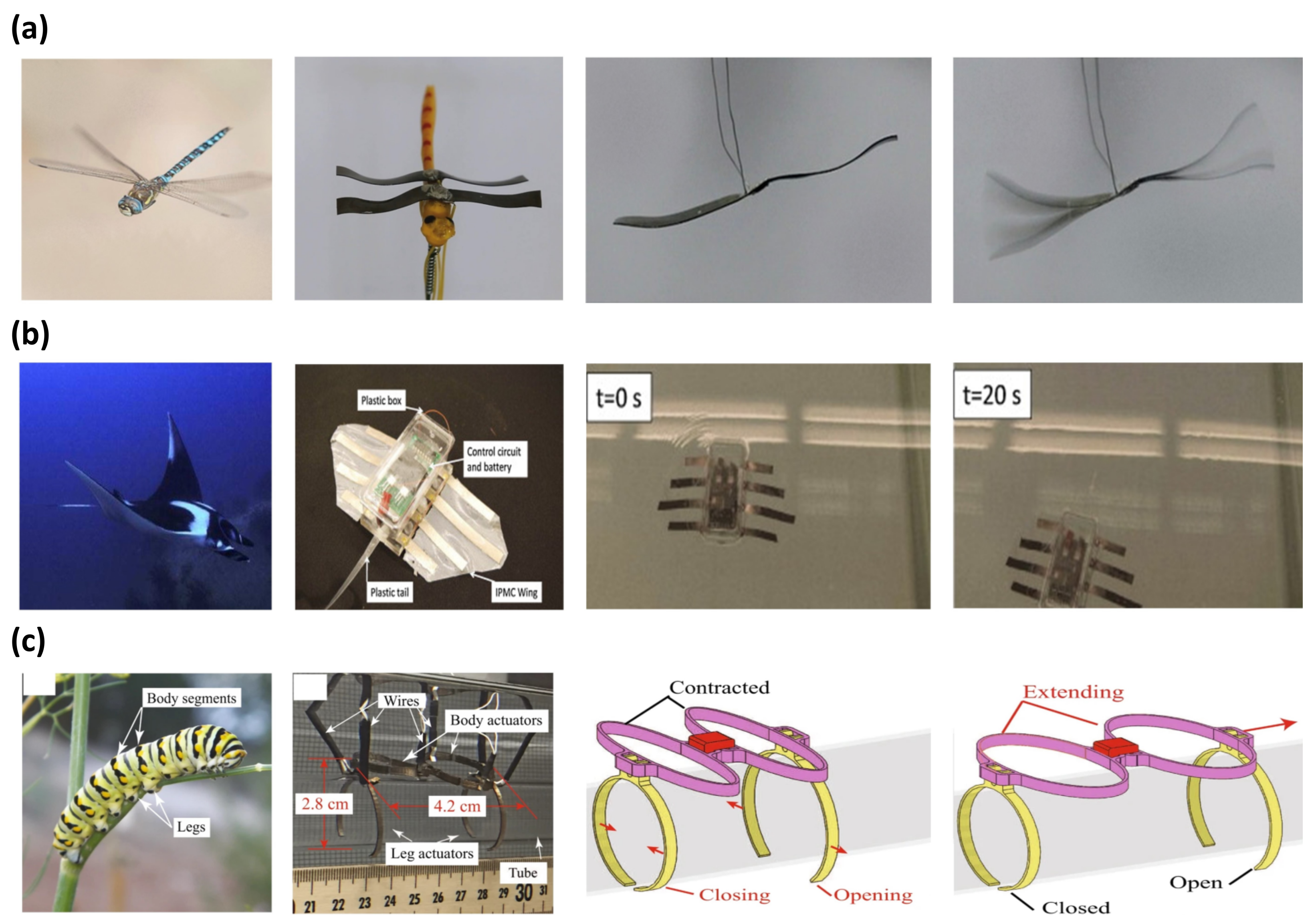 Micromachines 13 01290 g009