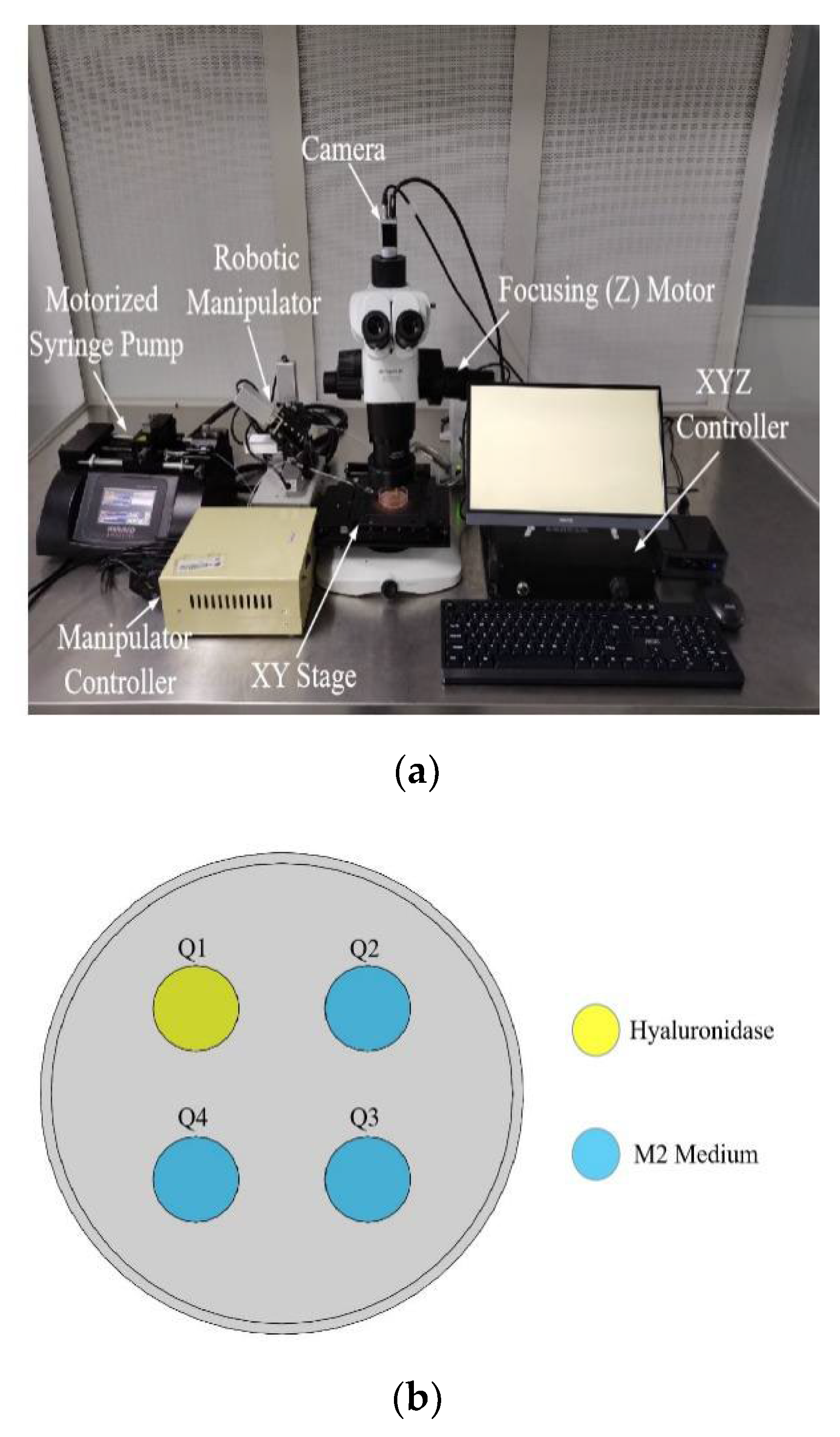 Micromachines 13 01301 g001a