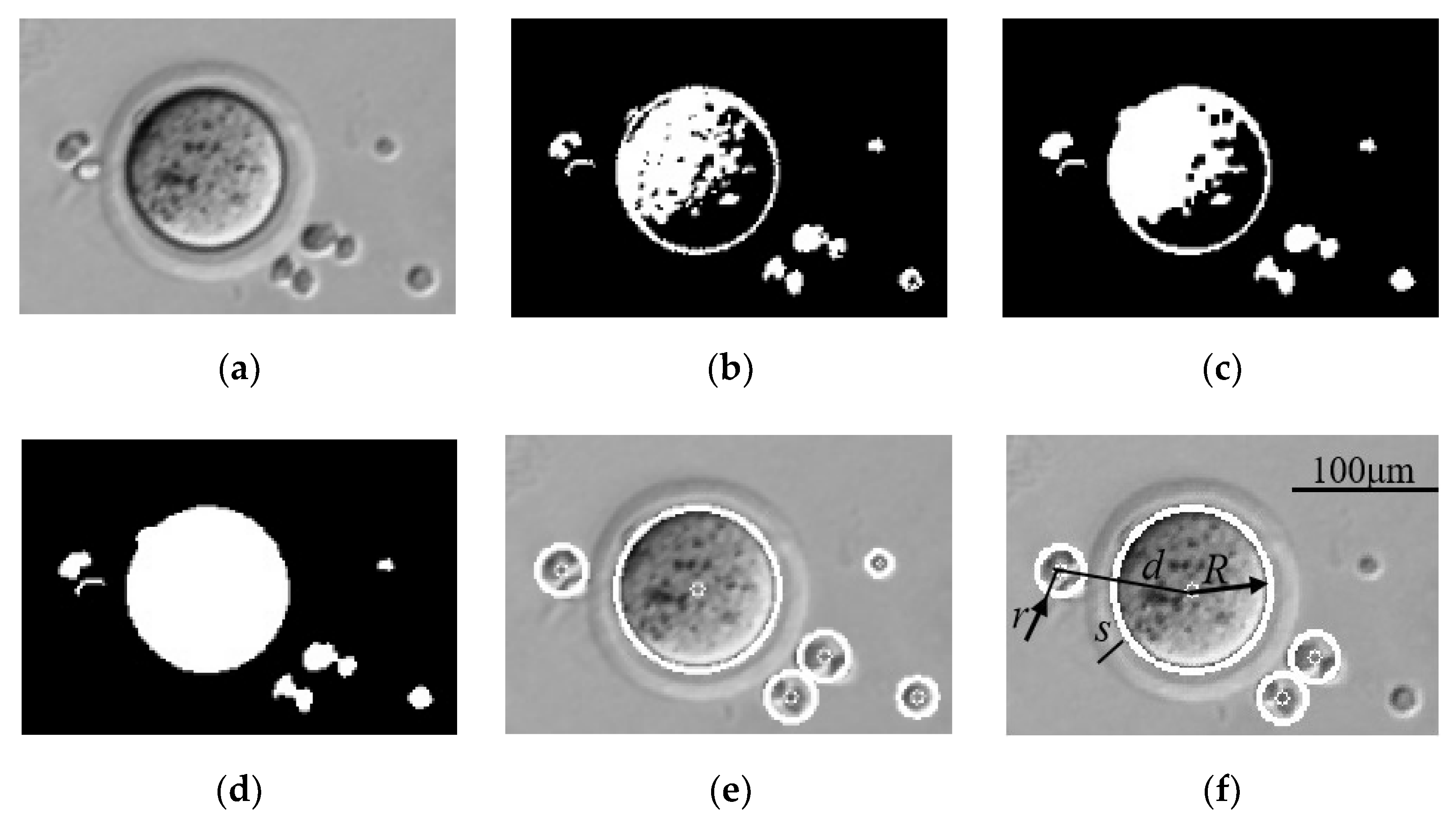 Micromachines 13 01301 g003