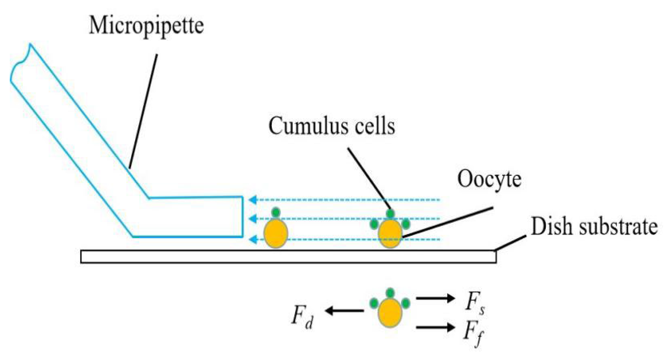 Micromachines 13 01301 g006