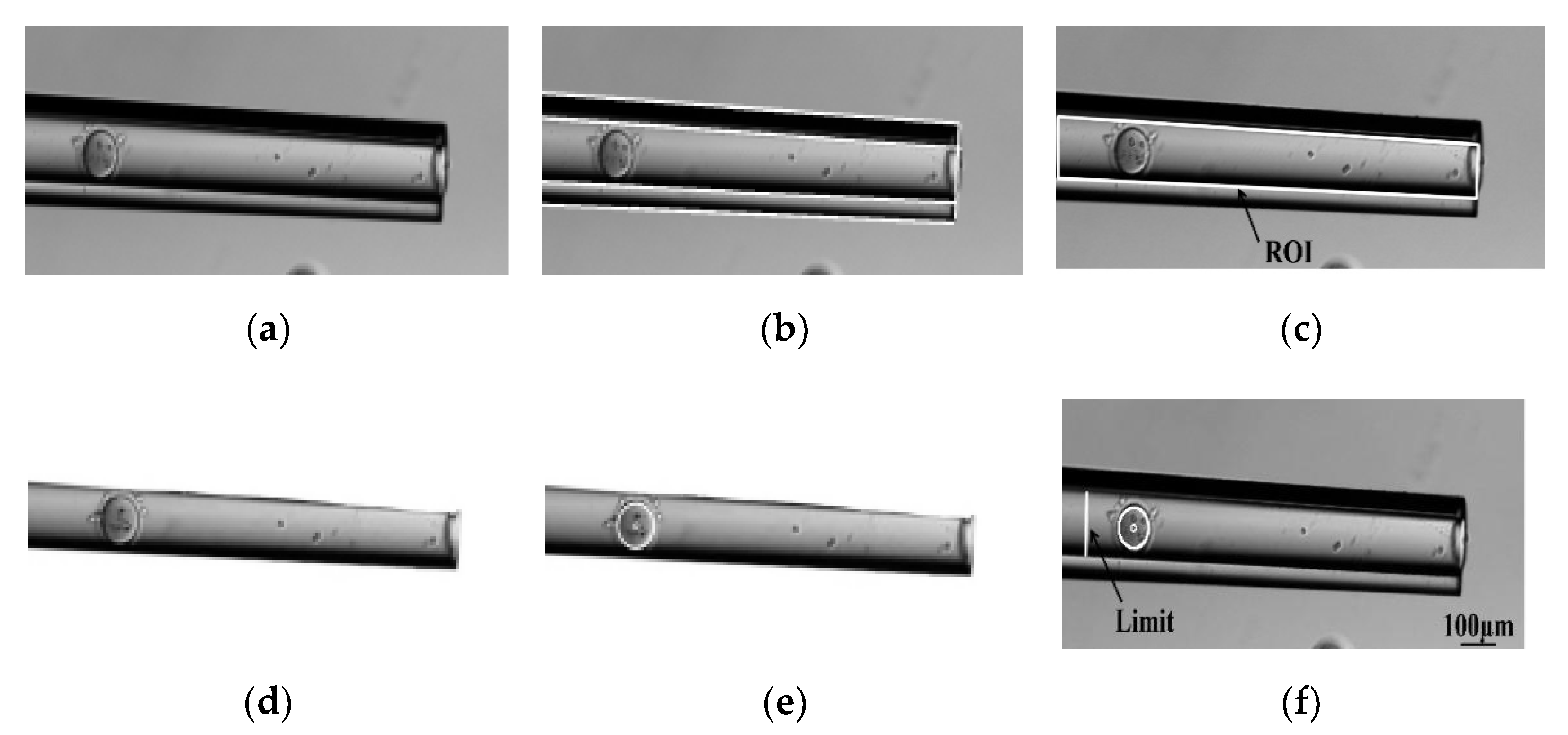 Micromachines 13 01301 g007