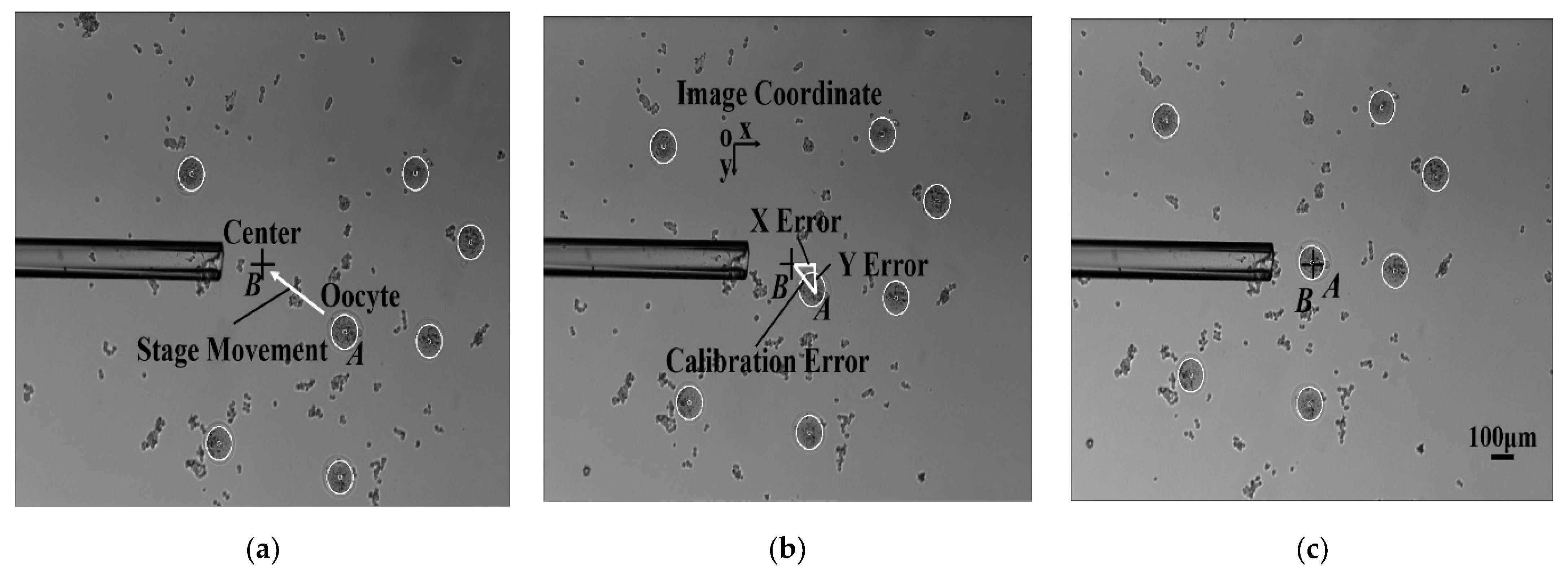 Micromachines 13 01301 g008