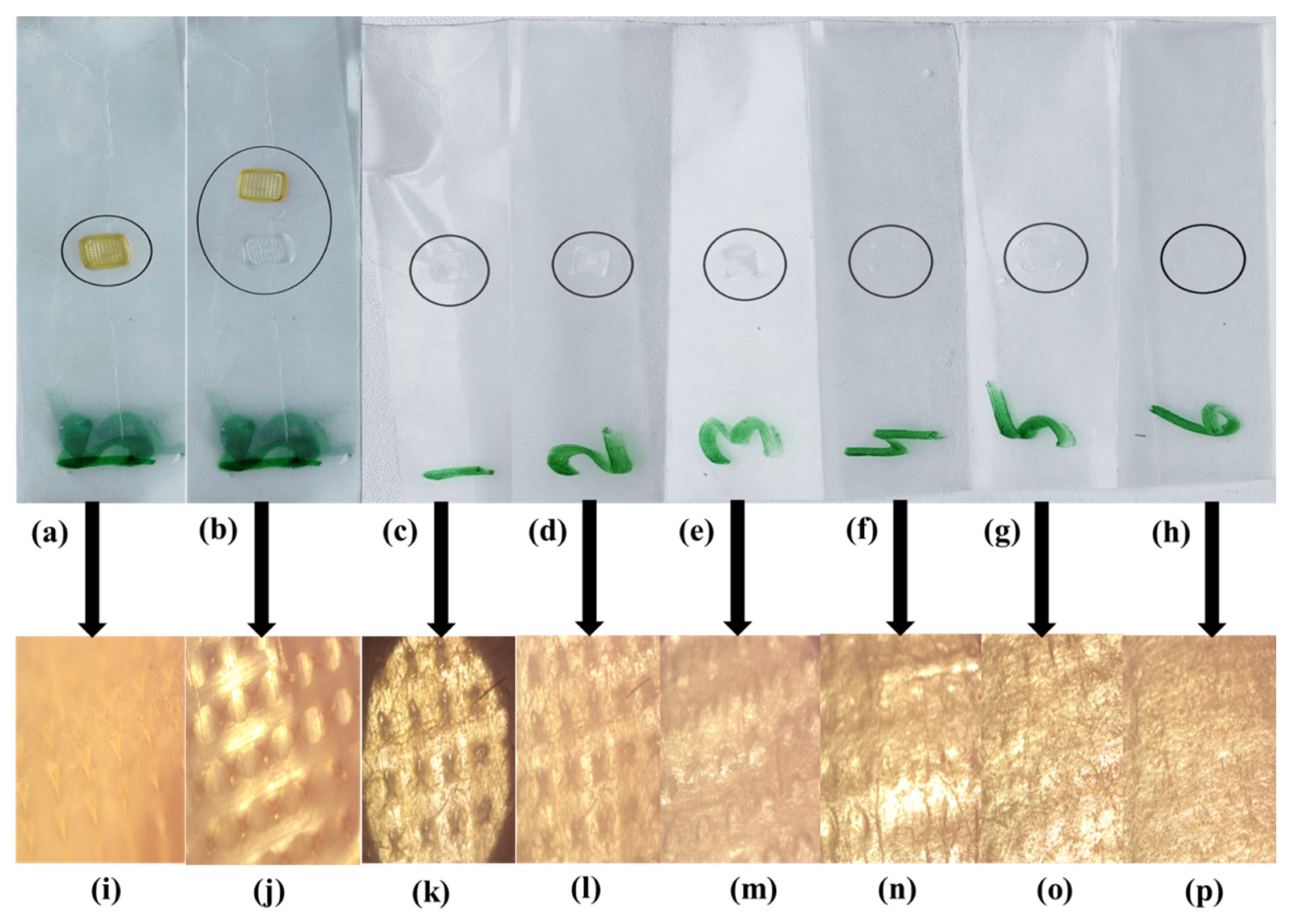 Micromachines 13 01304 g004