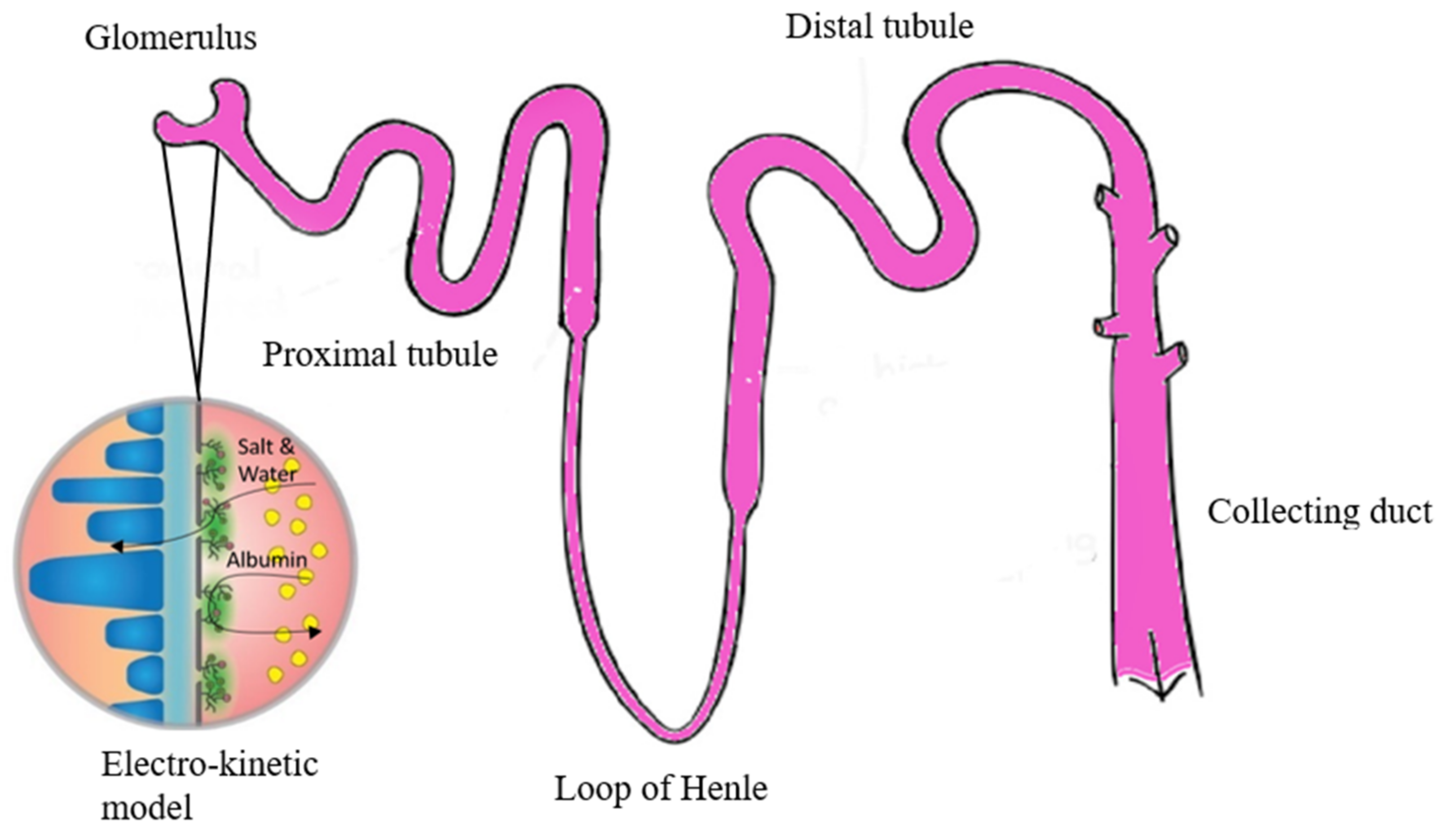 Micromachines 13 01308 g001