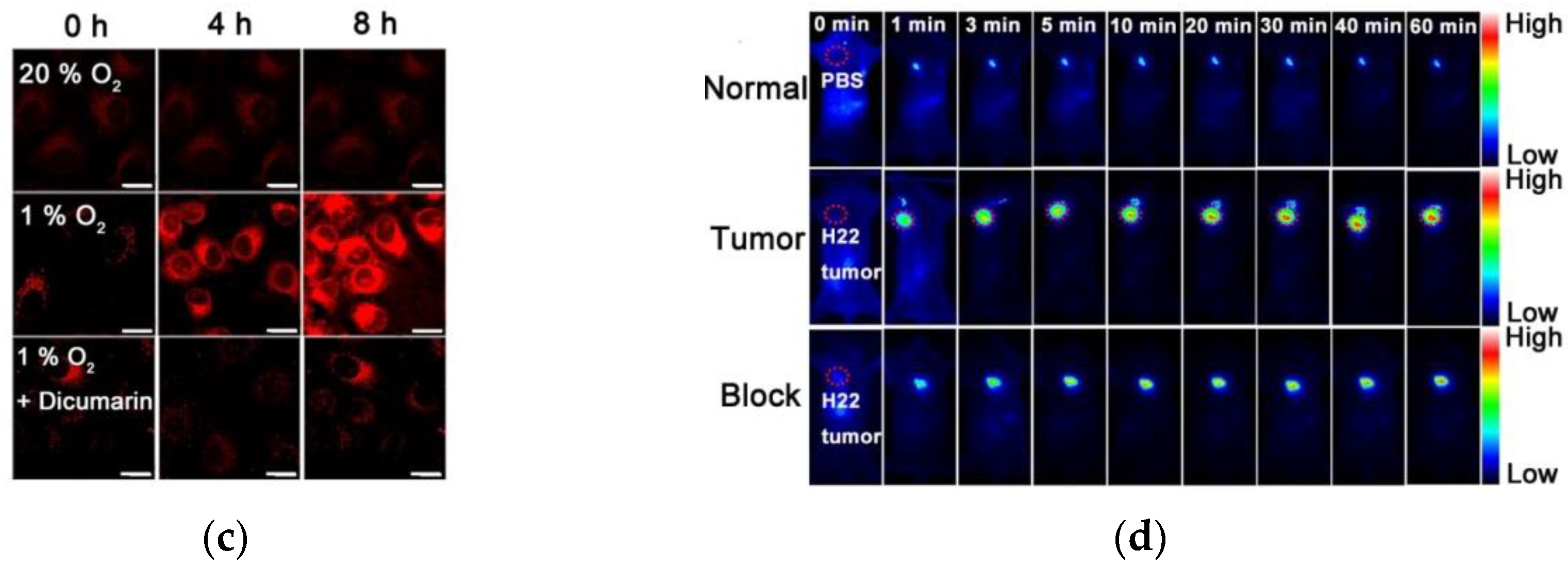 Micromachines 13 01328 g009b
