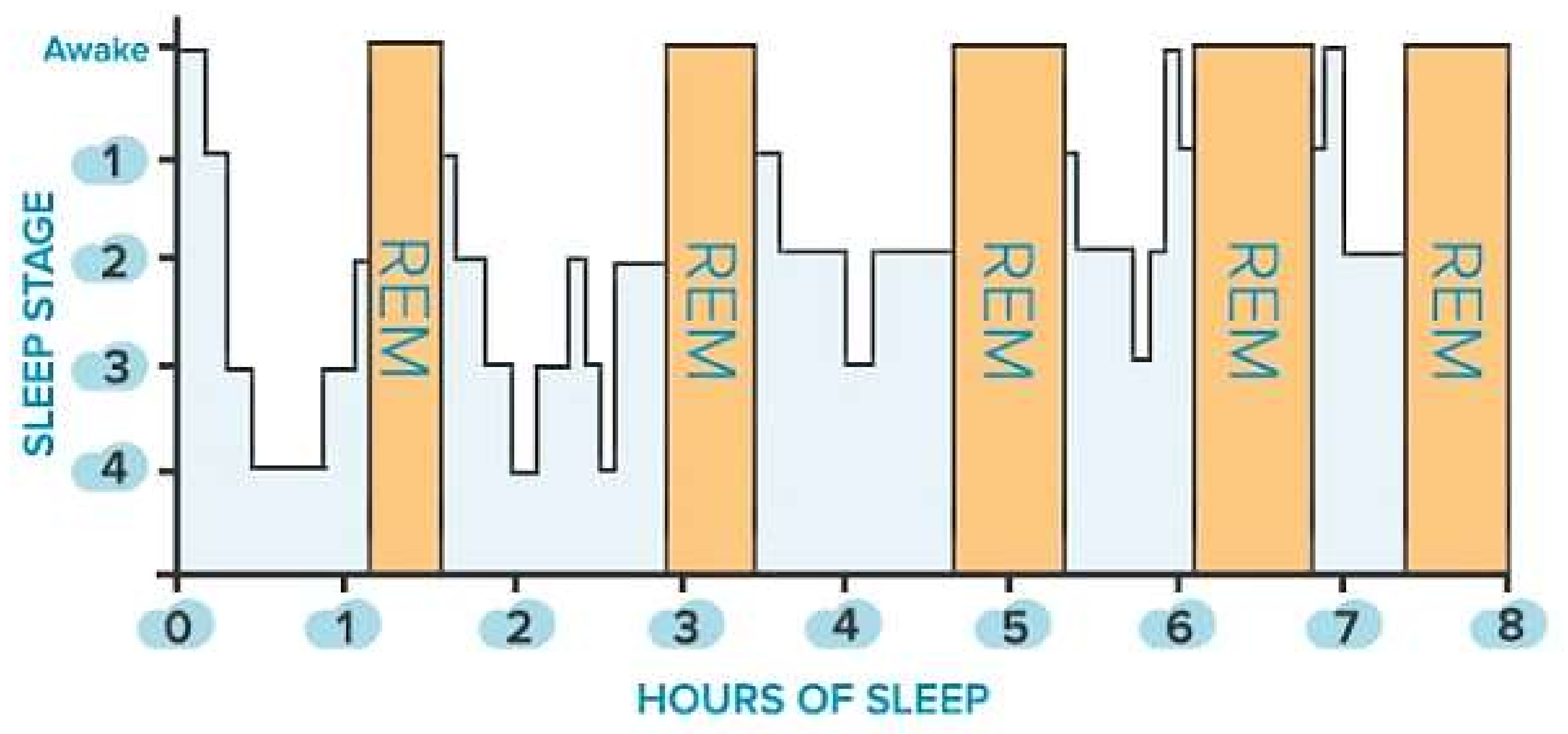 Micromachines 13 01335 g001
