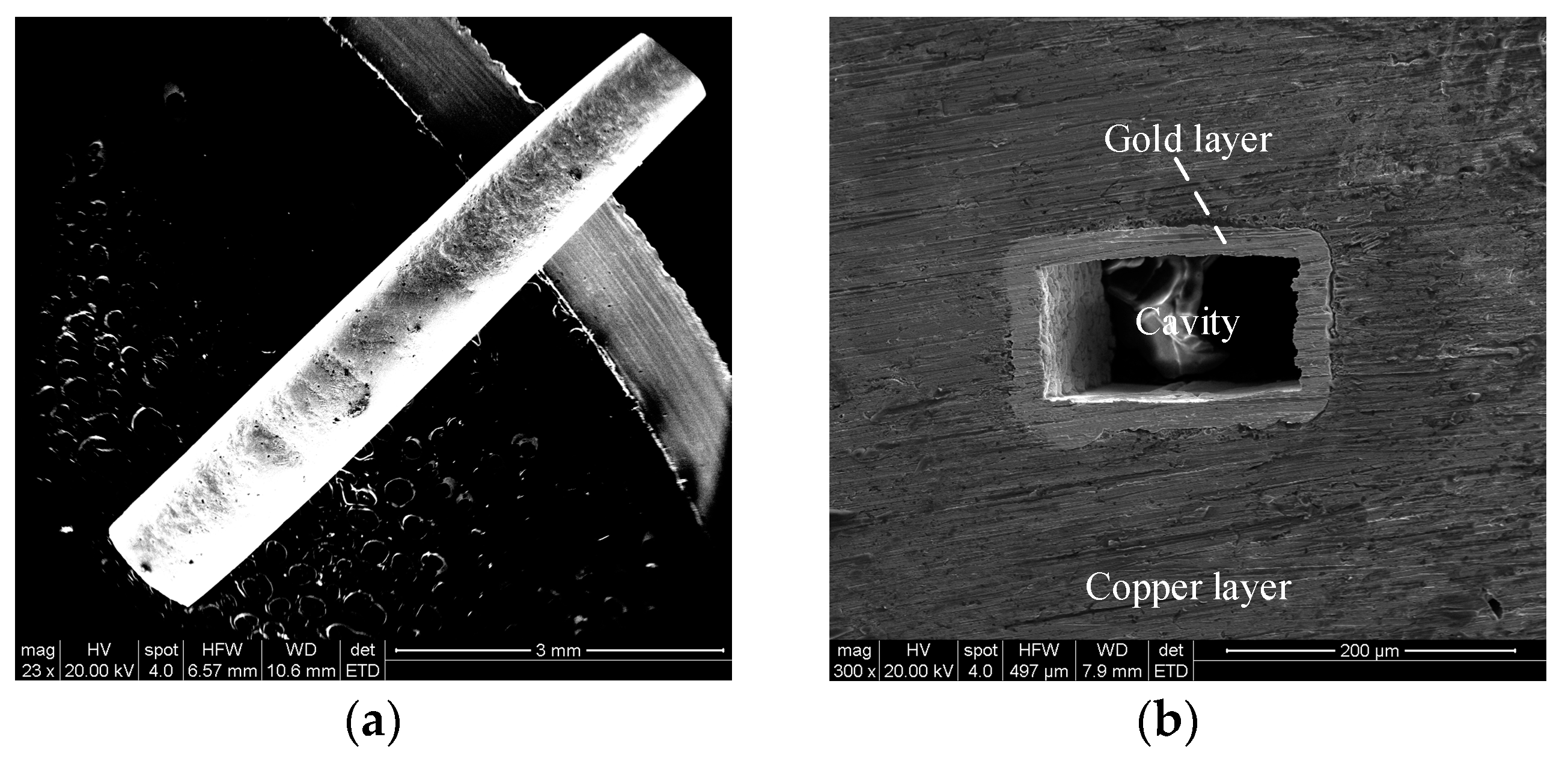 Micromachines 13 01346 g010