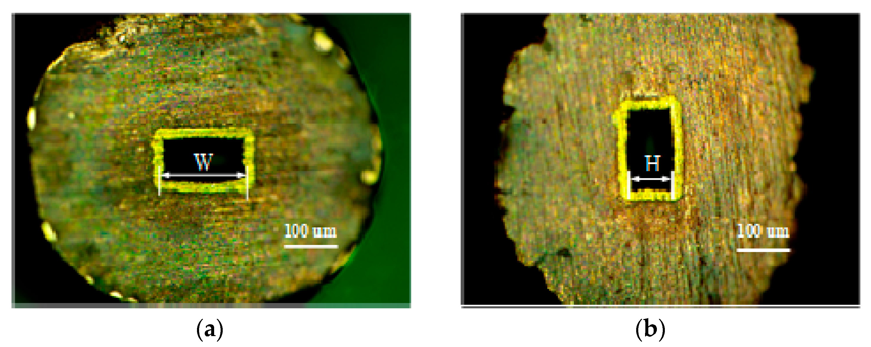 Micromachines 13 01346 g012