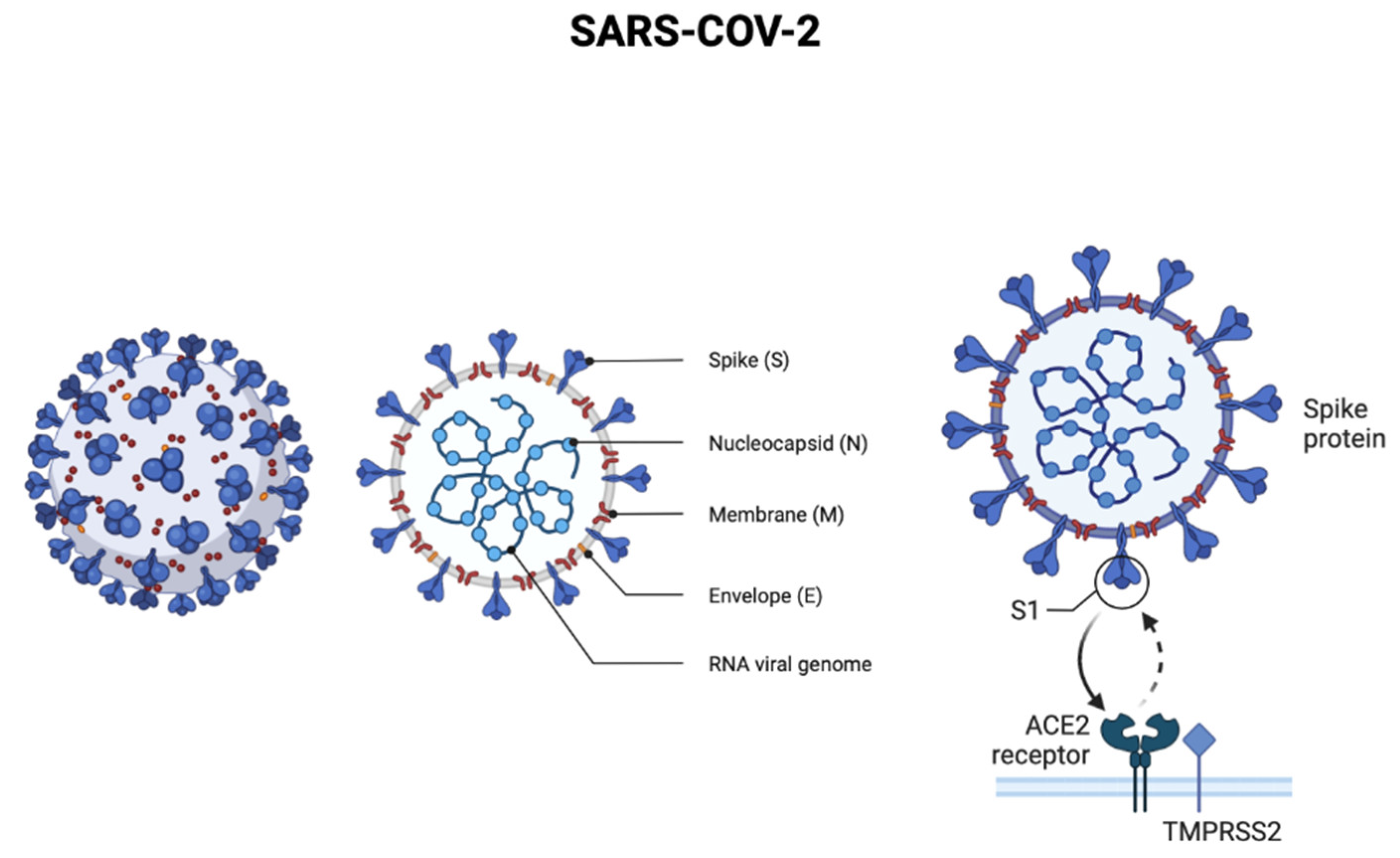 Micromachines 13 01349 g001