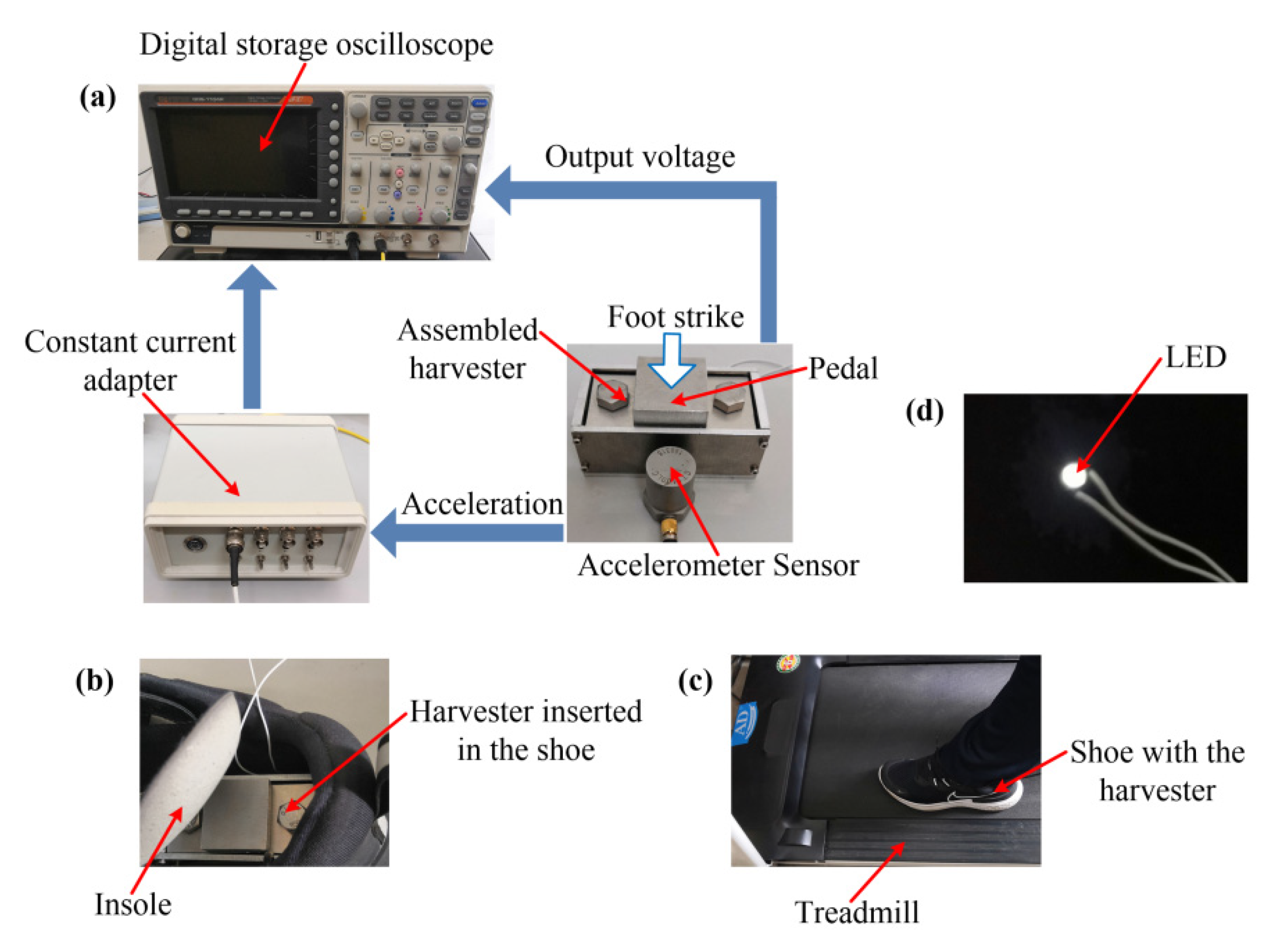 Micromachines 13 01353 g005