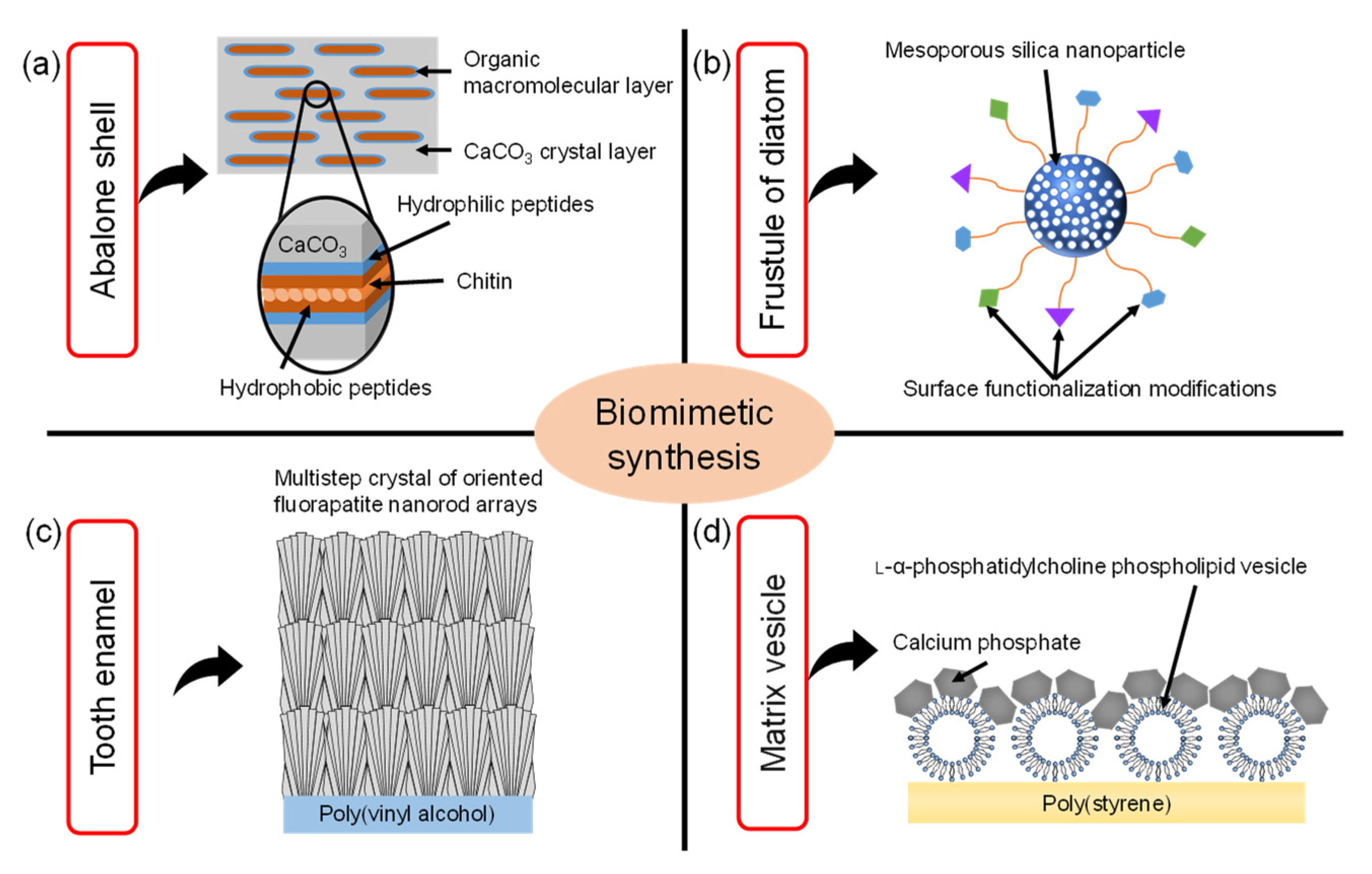 Micromachines 13 01358 g001