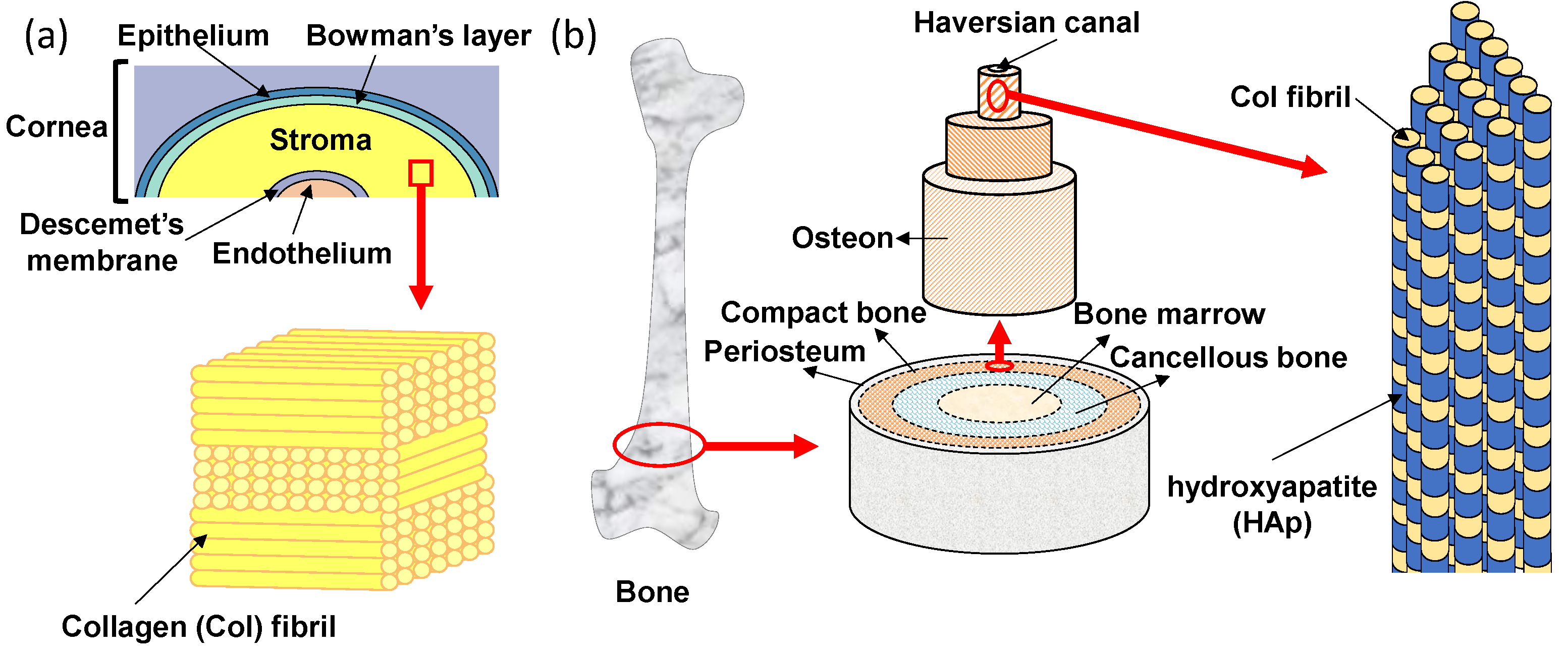 Micromachines 13 01358 g002