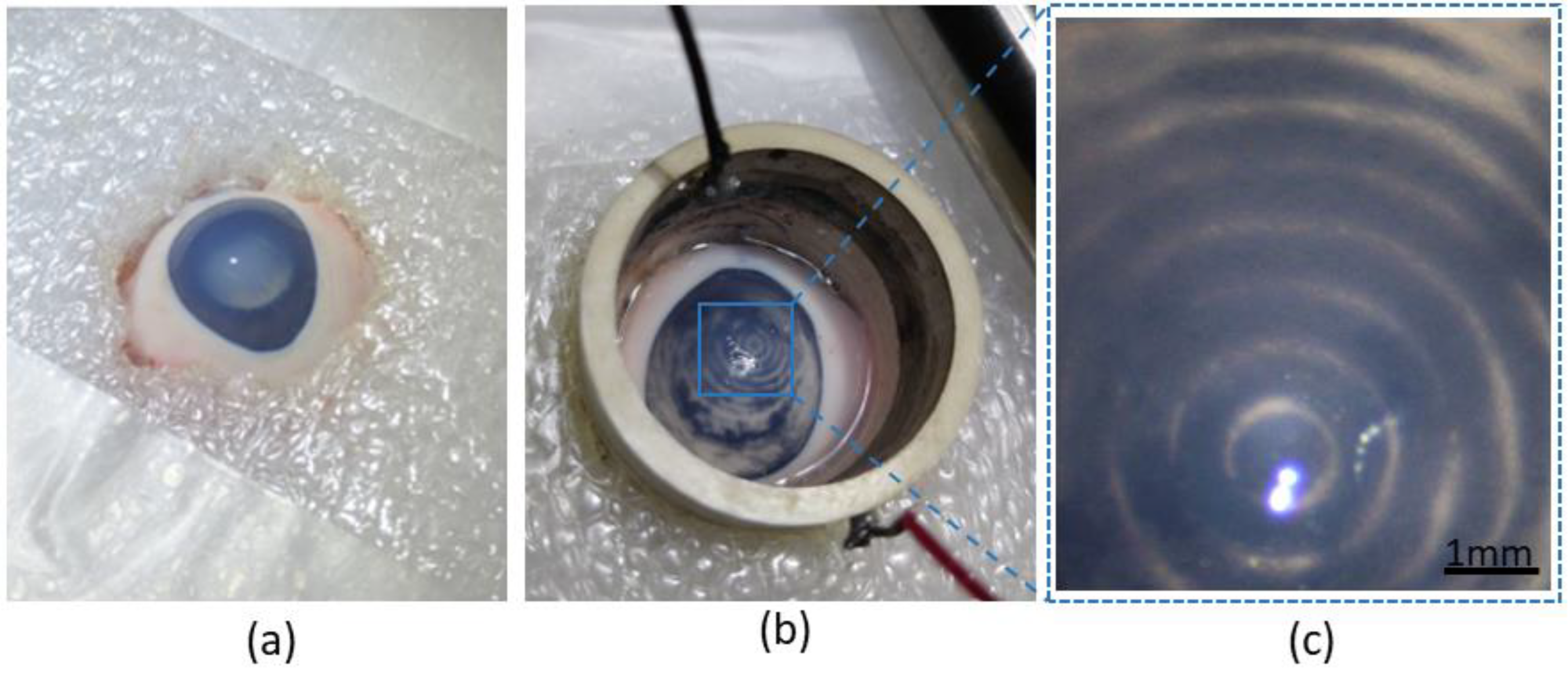 Micromachines 13 01362 g004