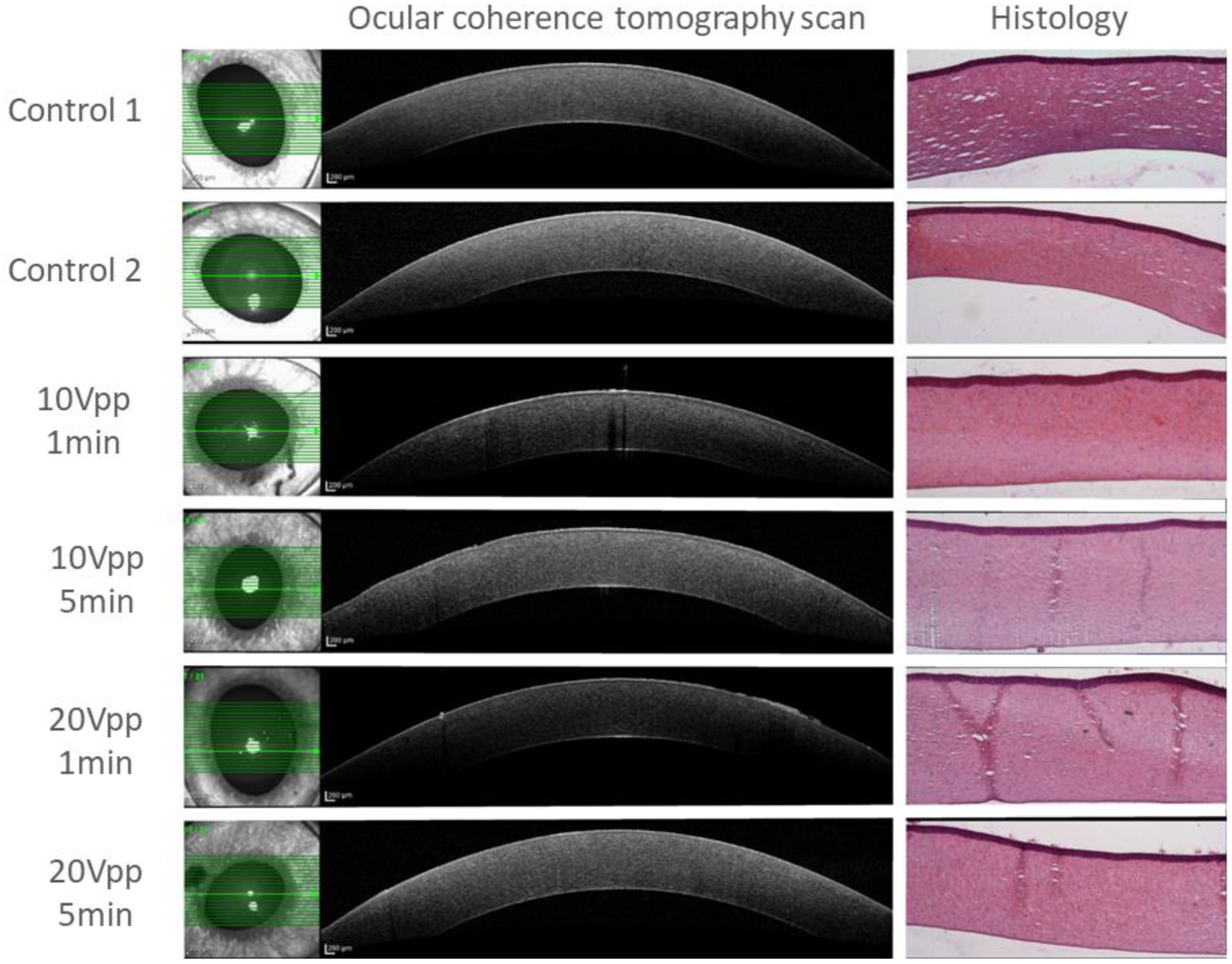 Micromachines 13 01362 g006