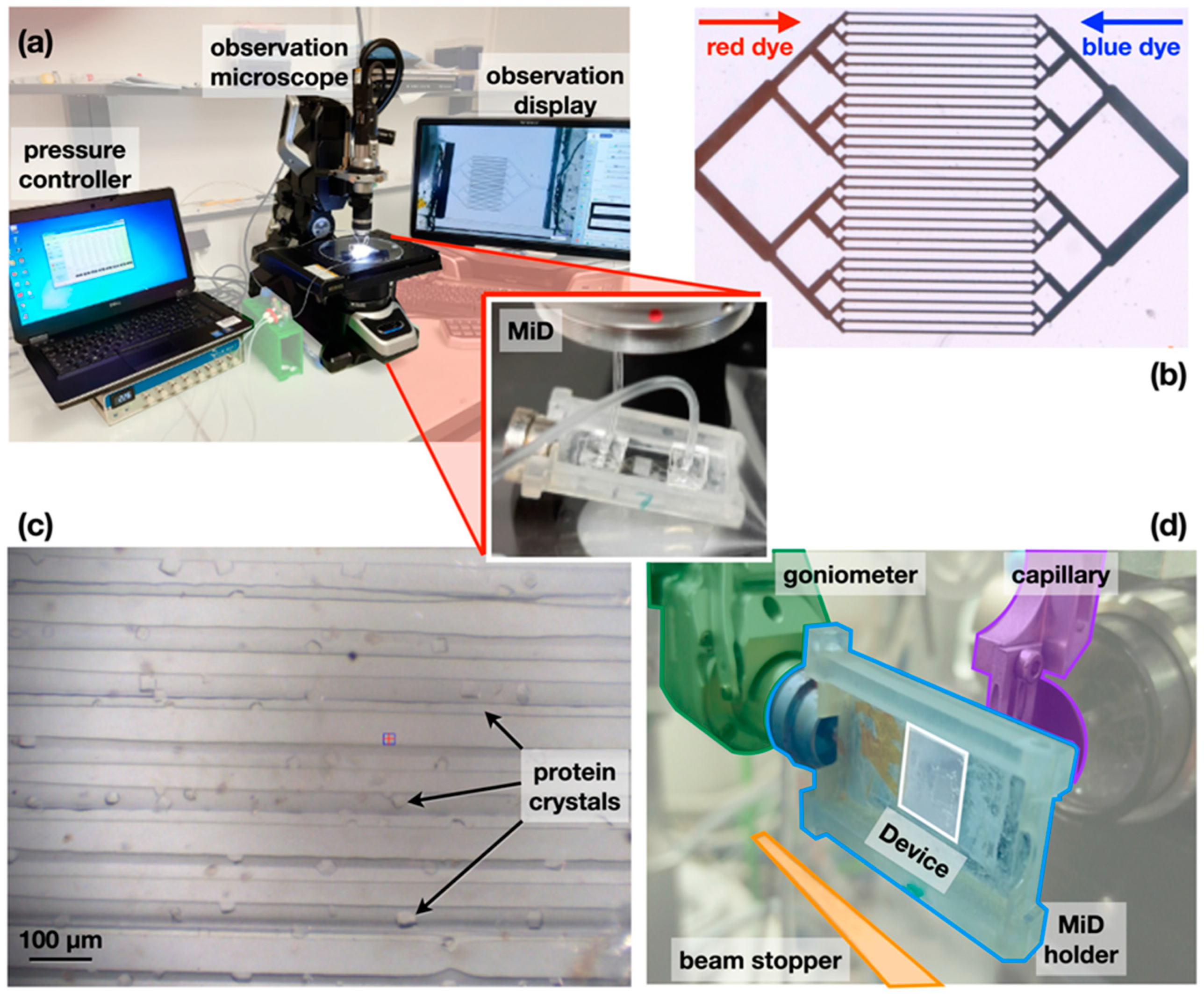 Micromachines 13 01365 g002