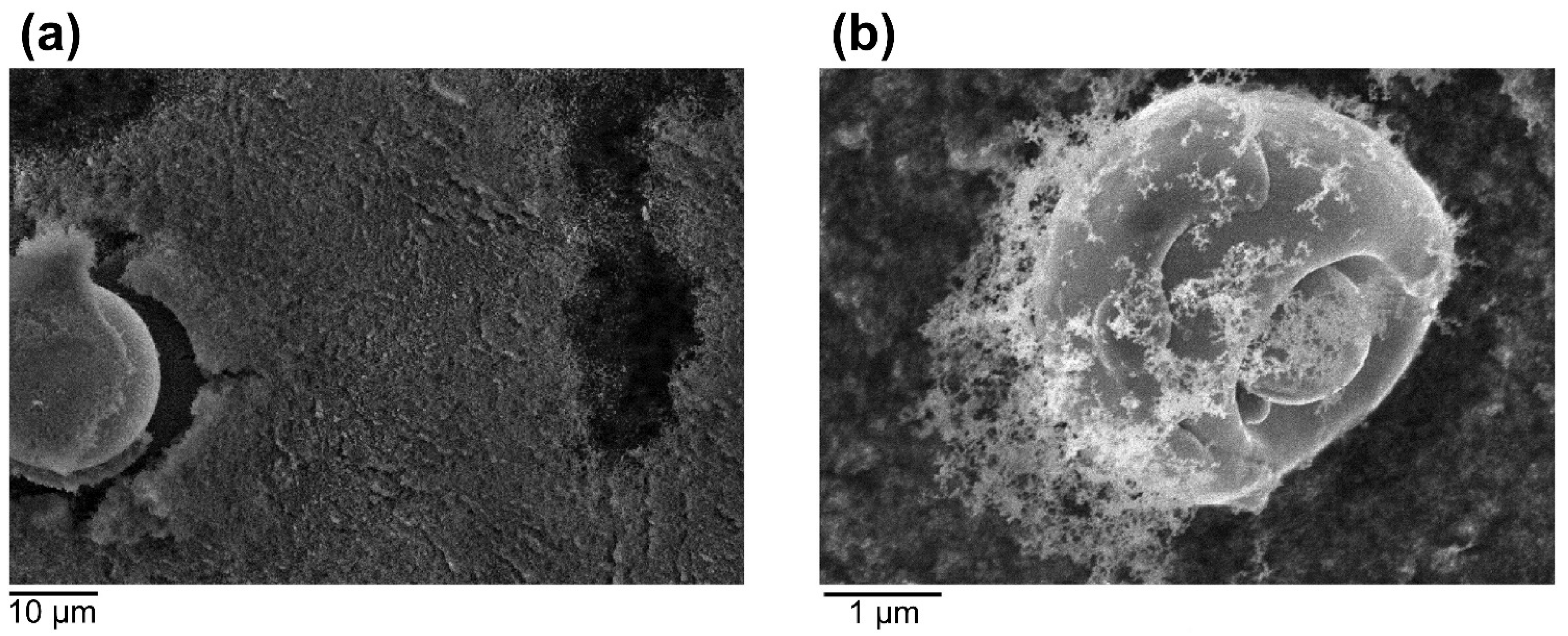 Micromachines 13 01366 g021