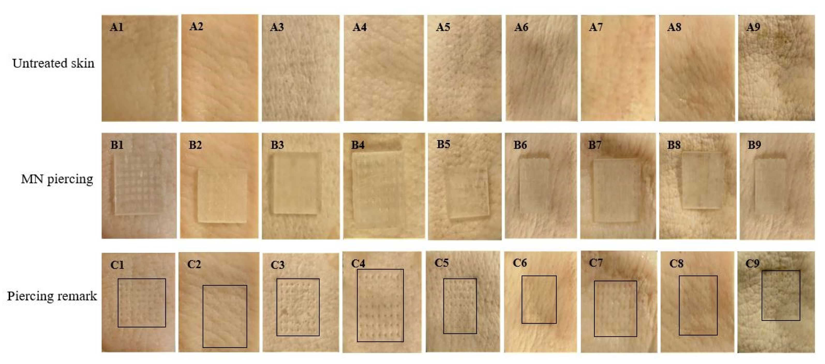 Micromachines 13 01368 g005