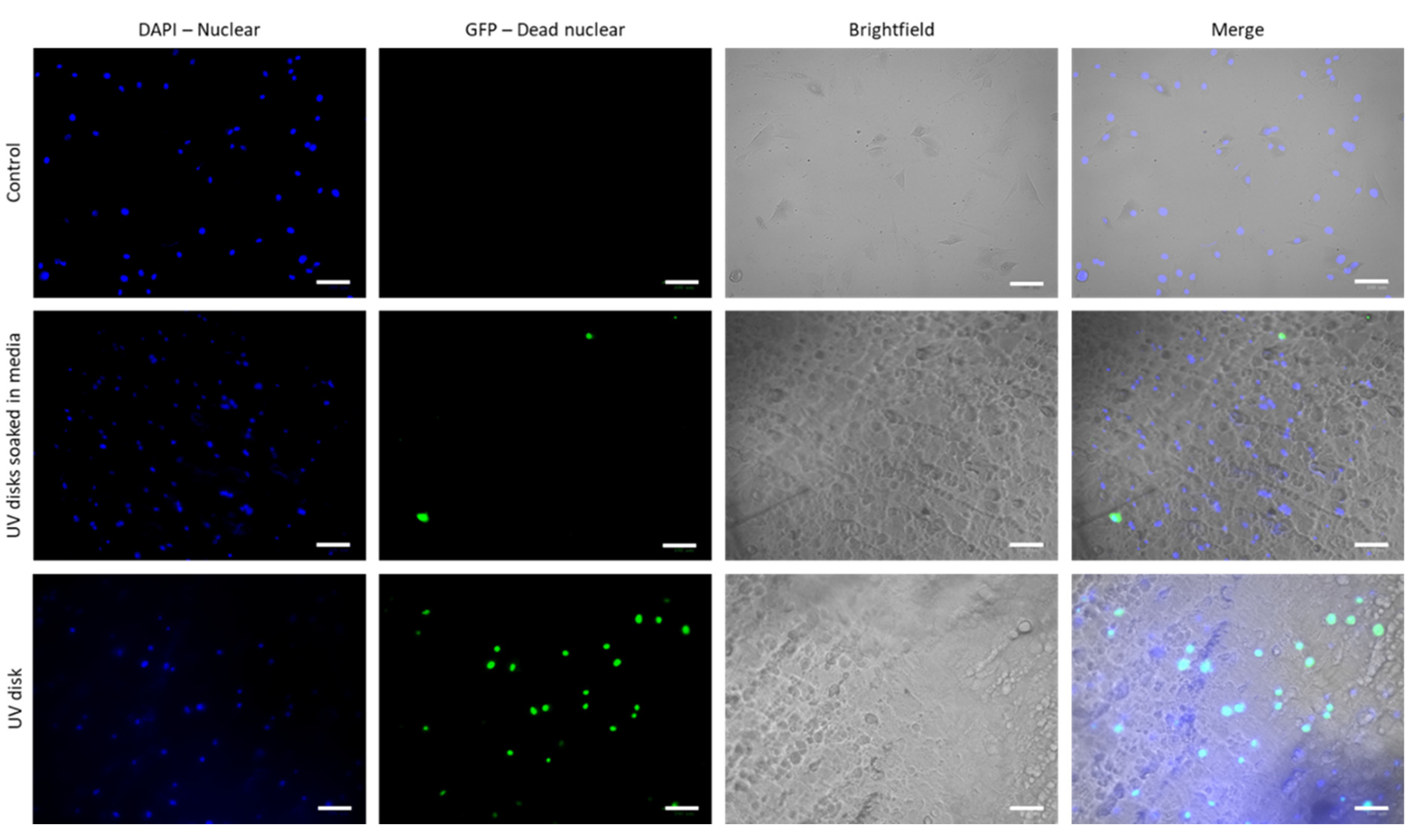 Micromachines 13 01368 g010