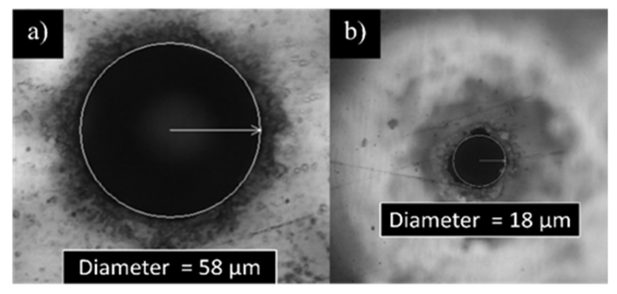 Micromachines 13 01371 g006