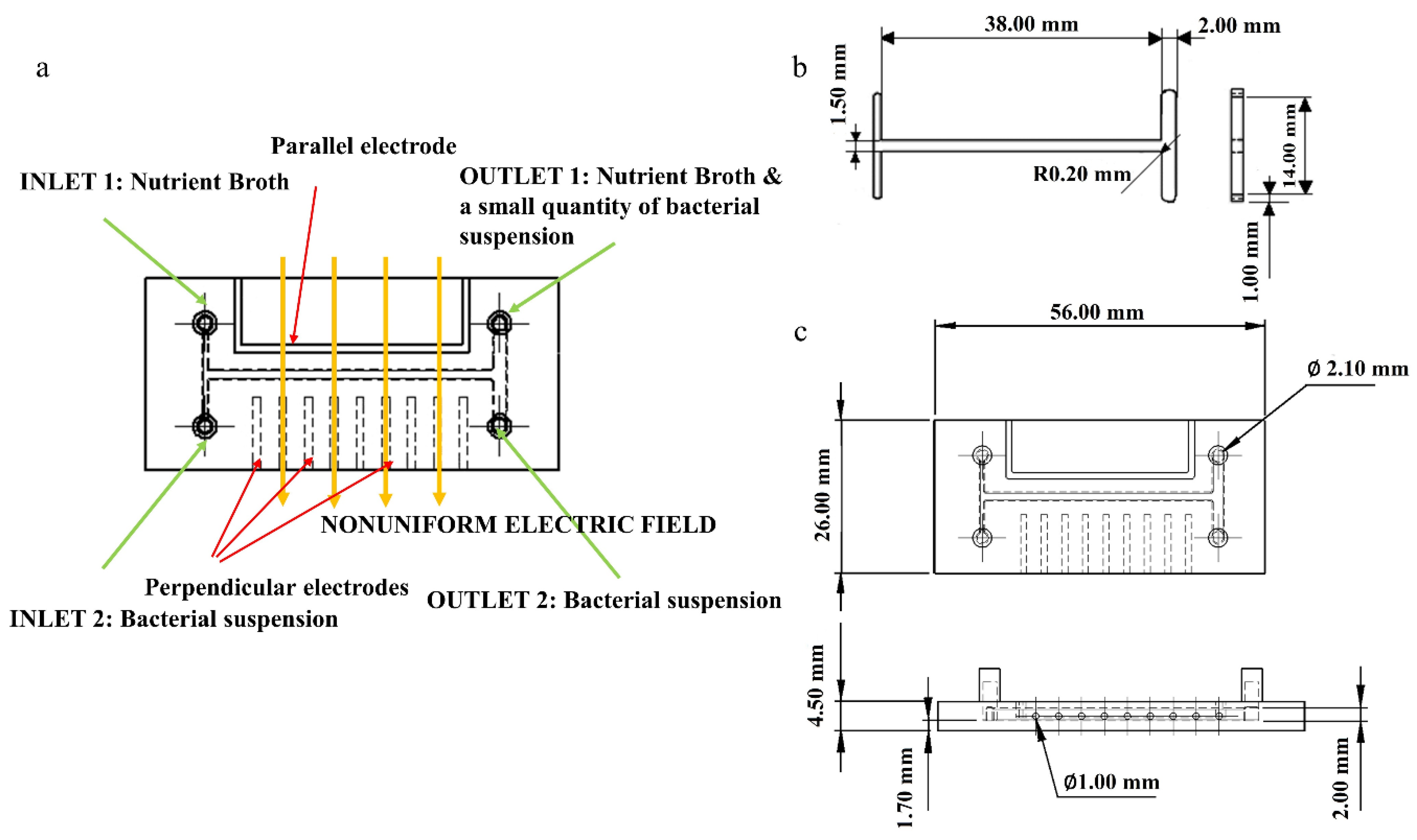 Micromachines 13 01377 g001