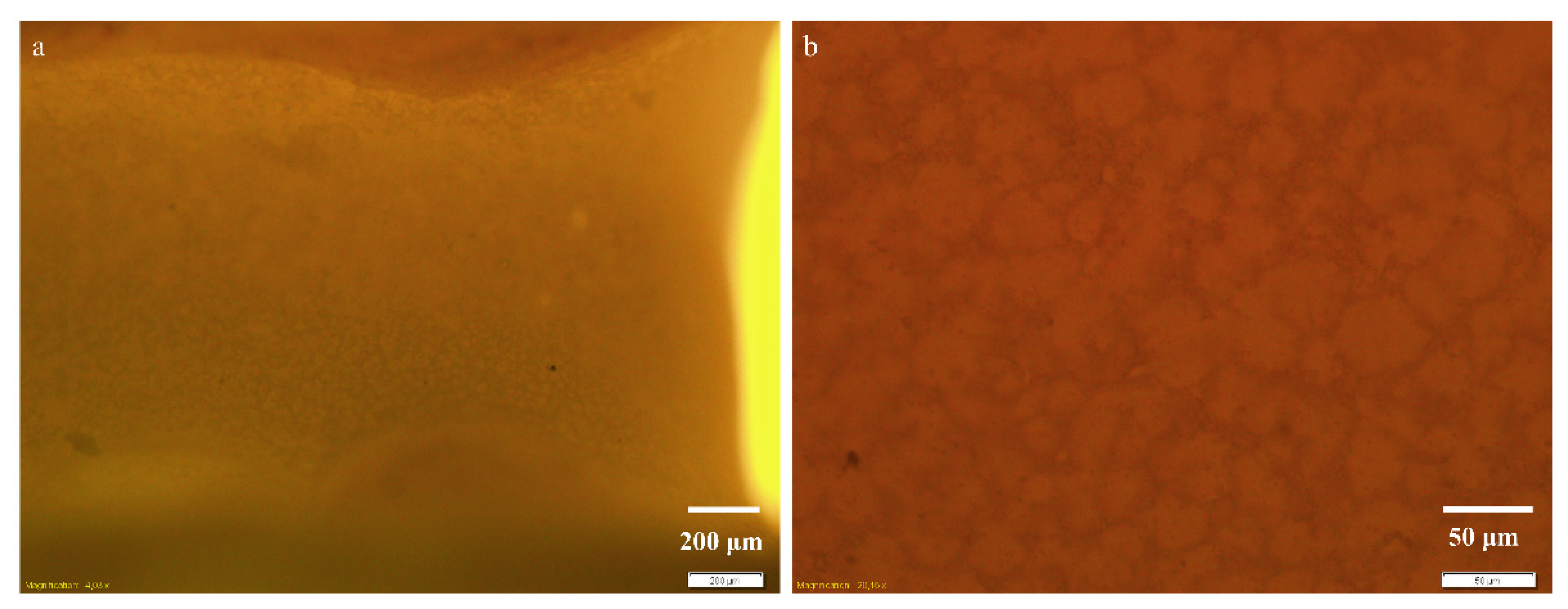 Micromachines 13 01377 g006