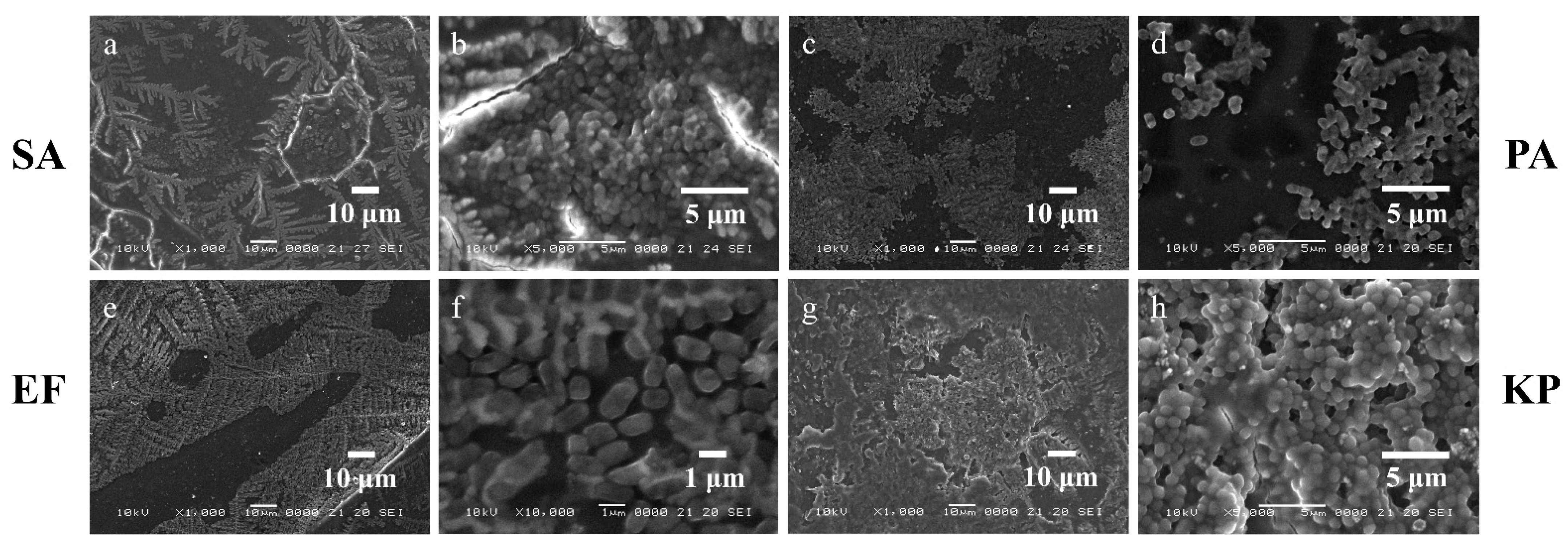 Micromachines 13 01377 g013