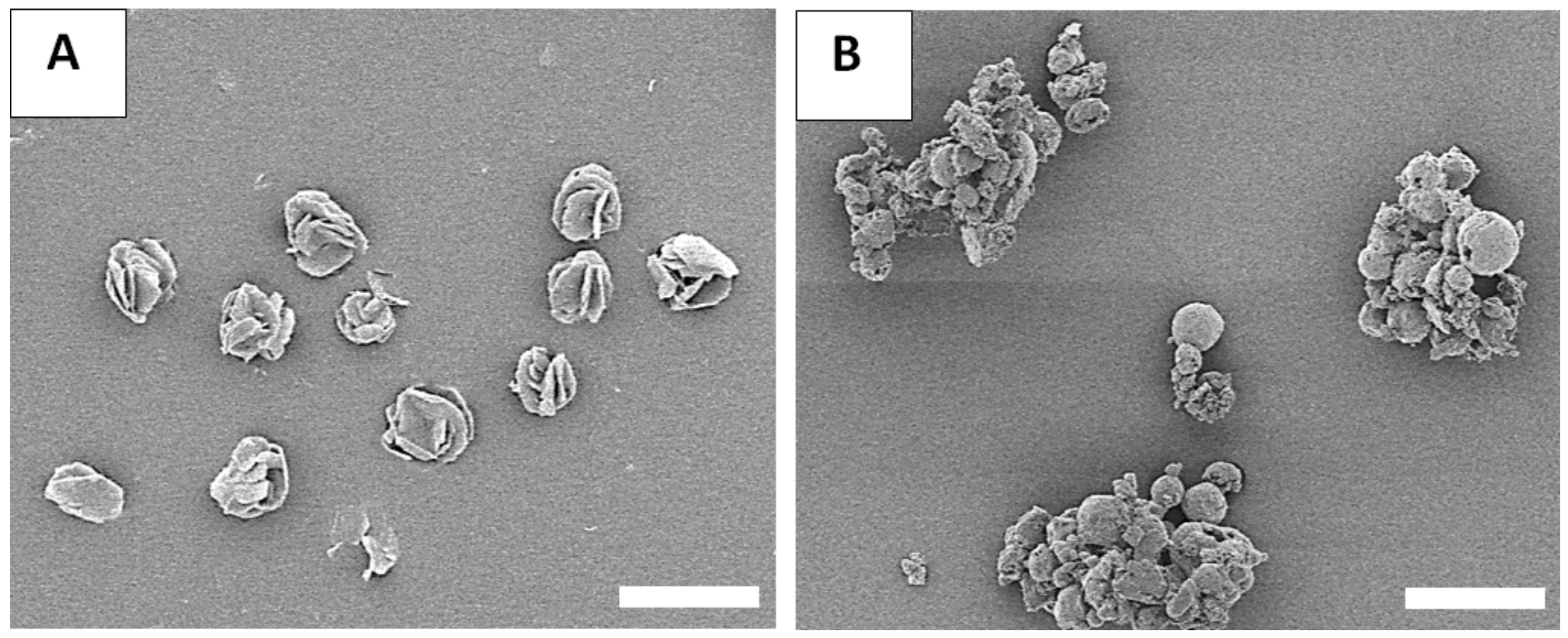 Micromachines 13 01382 g004