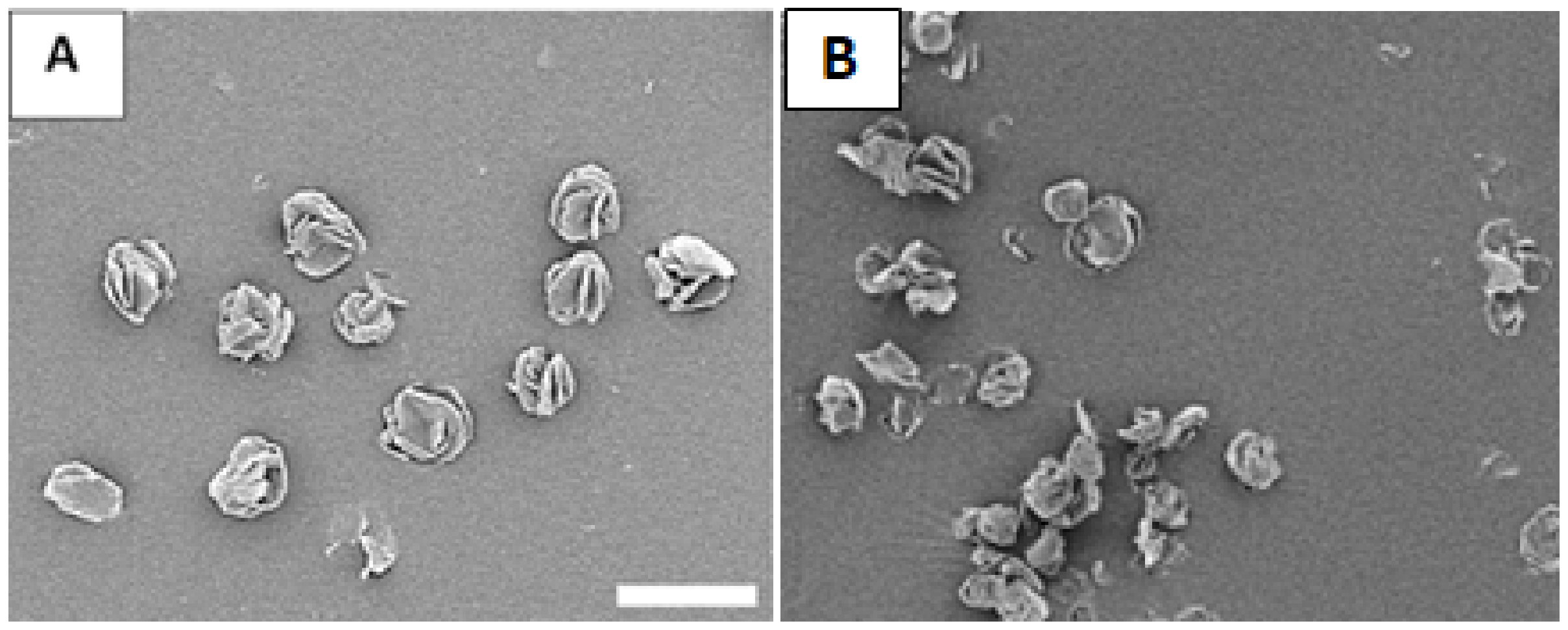 Micromachines 13 01382 g010