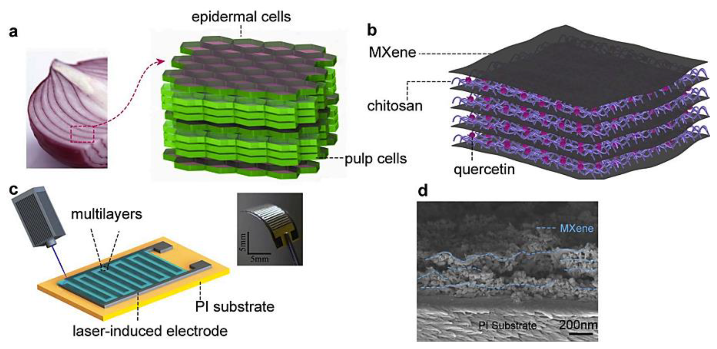 Micromachines 13 01383 g002