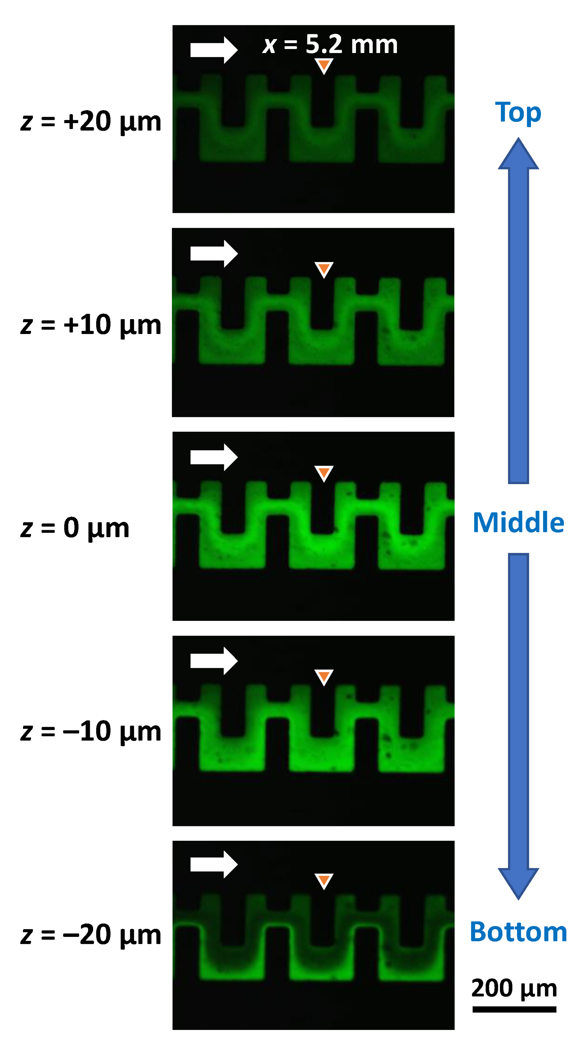 Micromachines 13 01386 g013