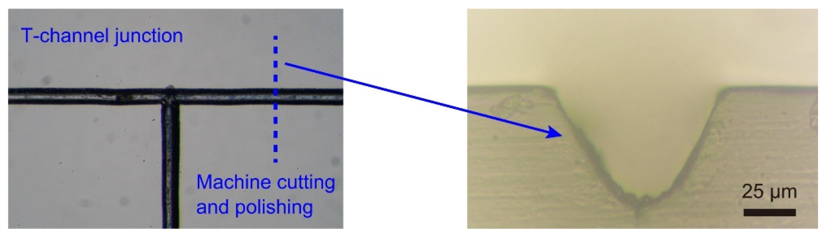 Micromachines 13 01389 g002