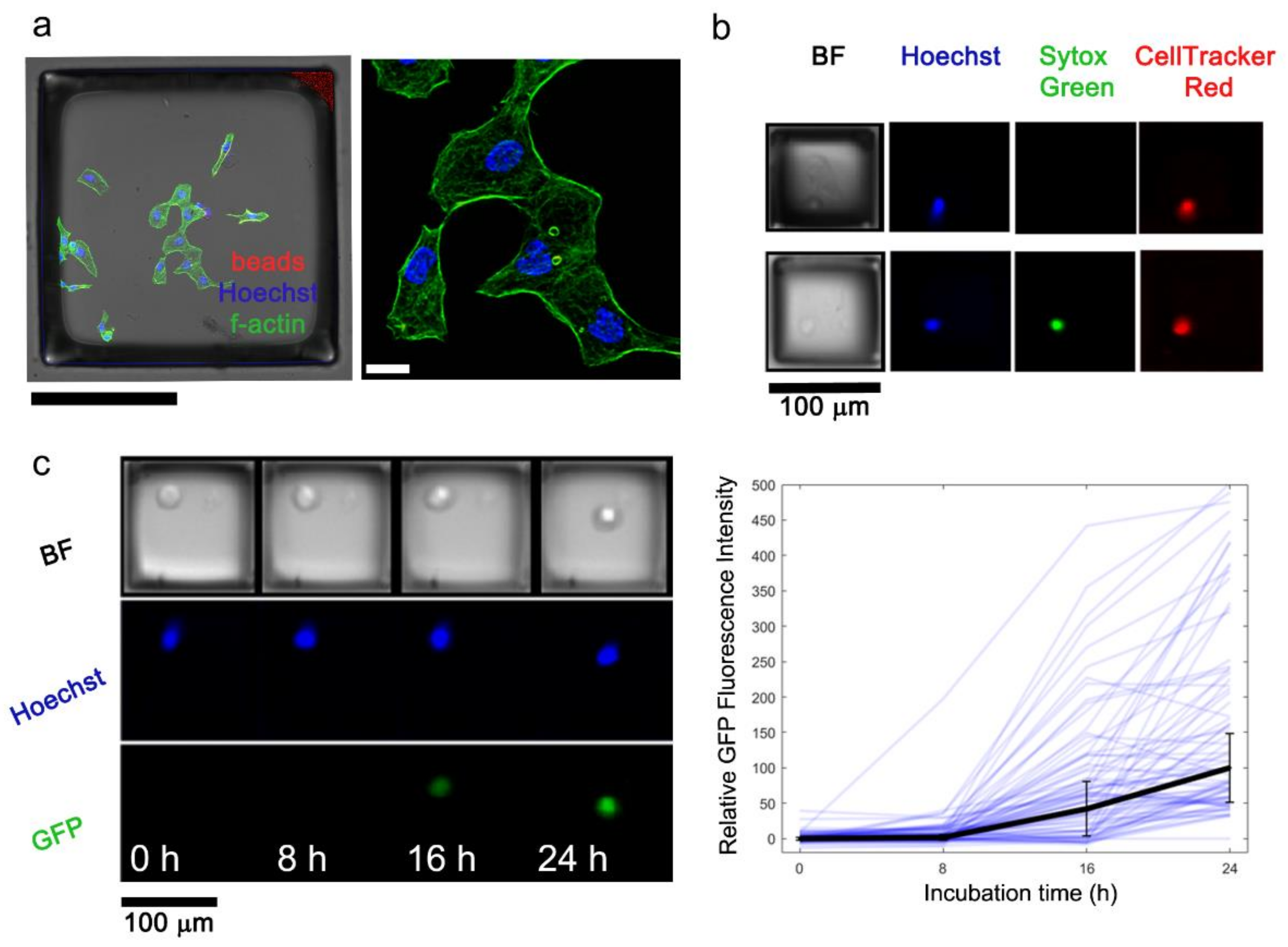 Micromachines 13 01392 g004