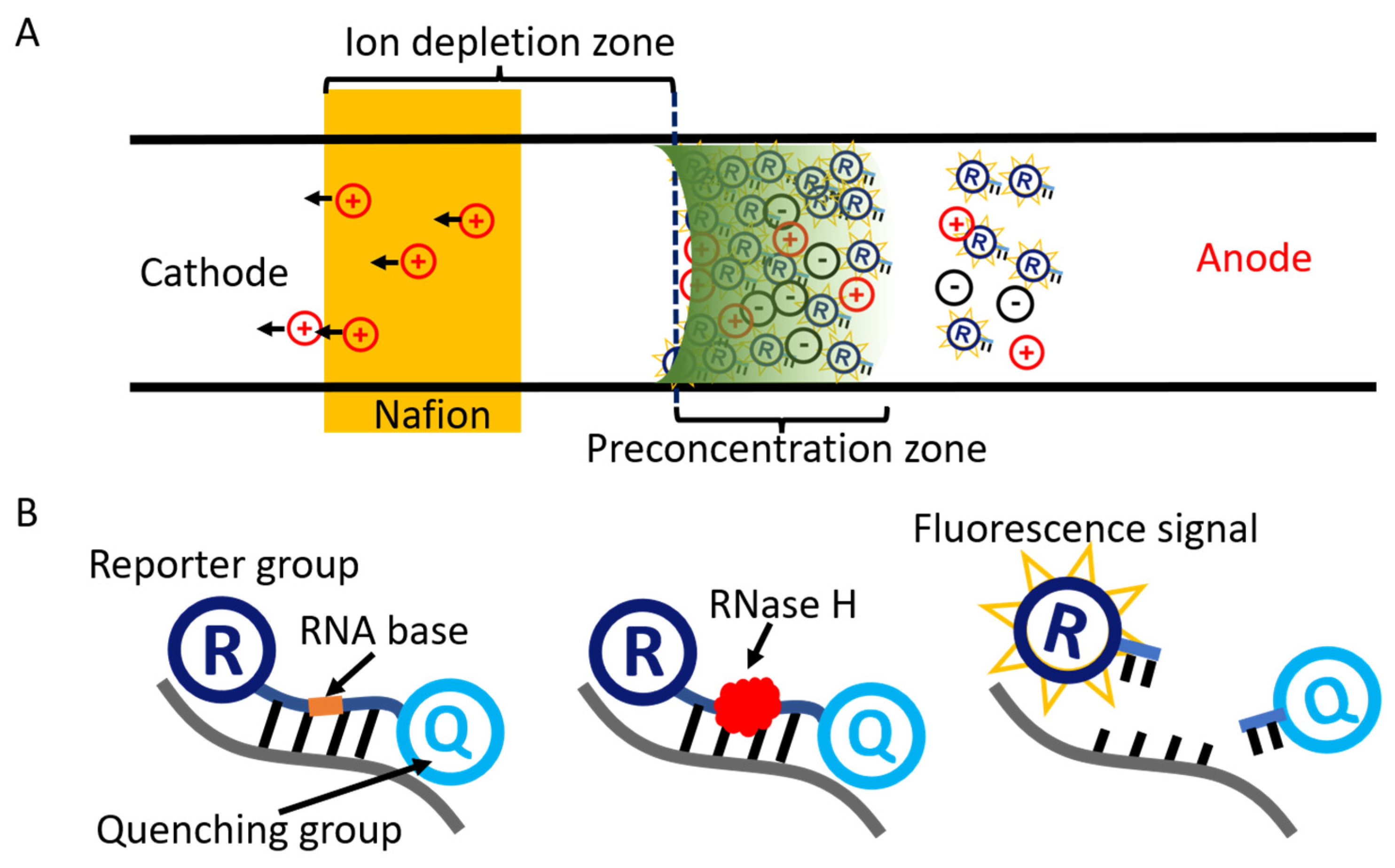 Micromachines 13 01394 g001