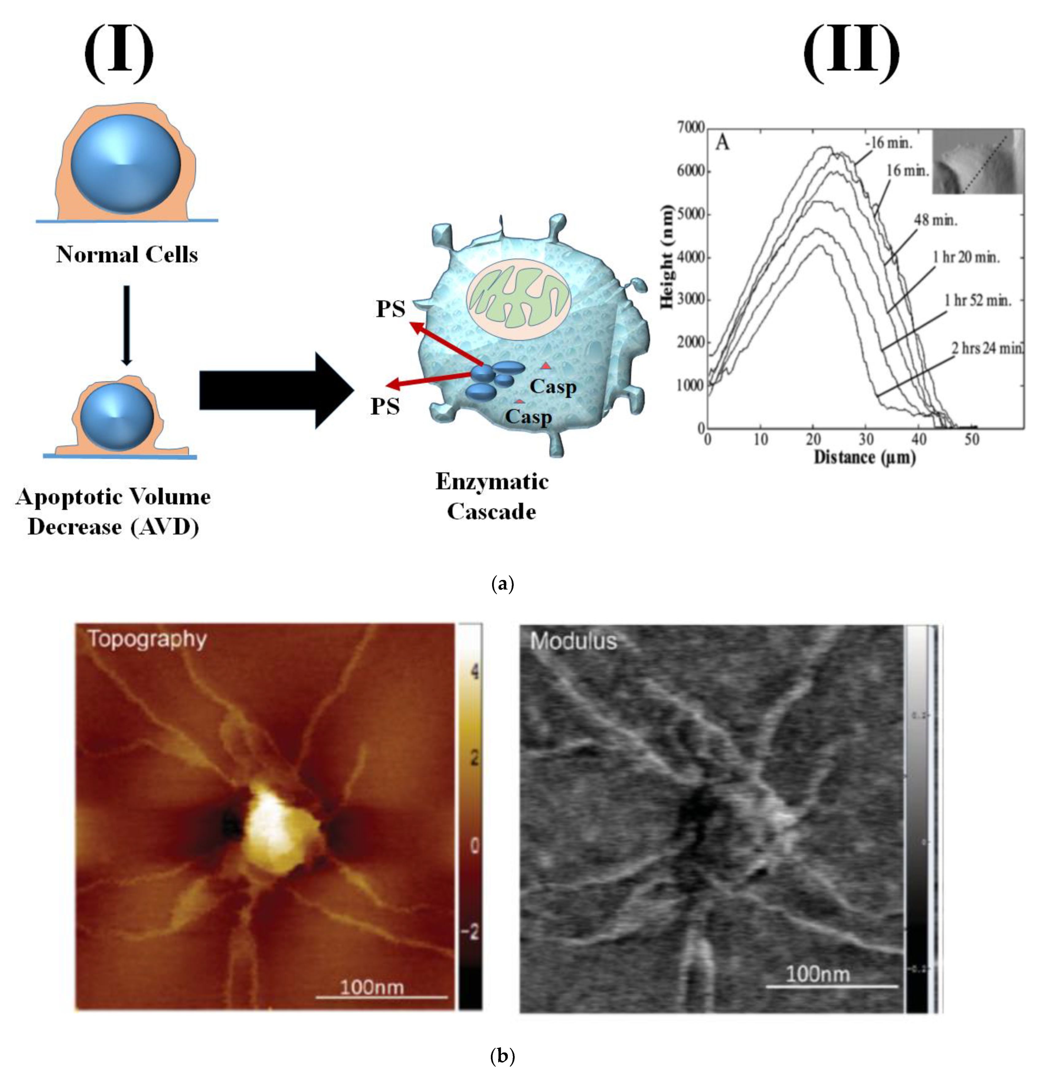 Micromachines 13 01401 g005