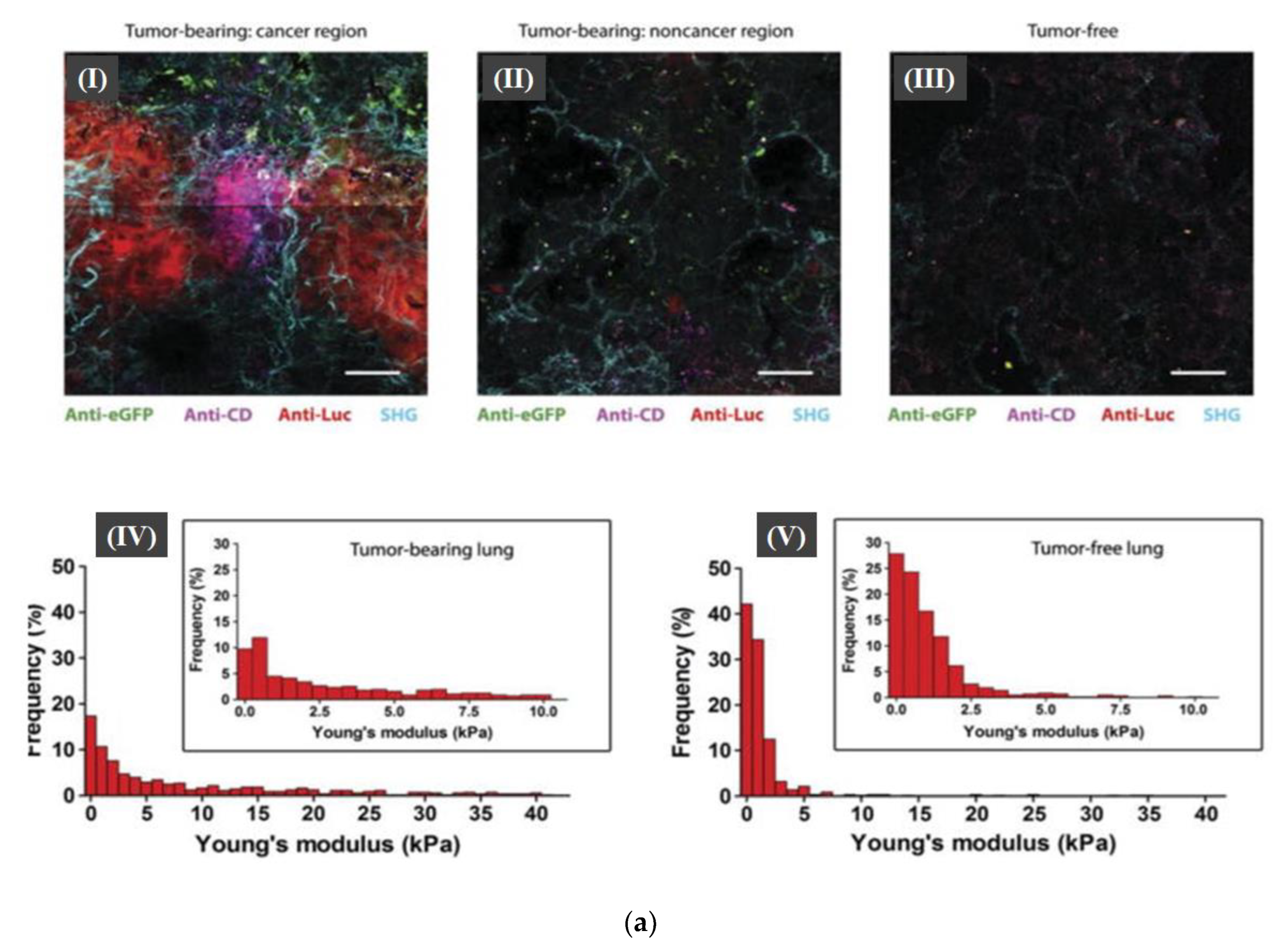 Micromachines 13 01401 g006a