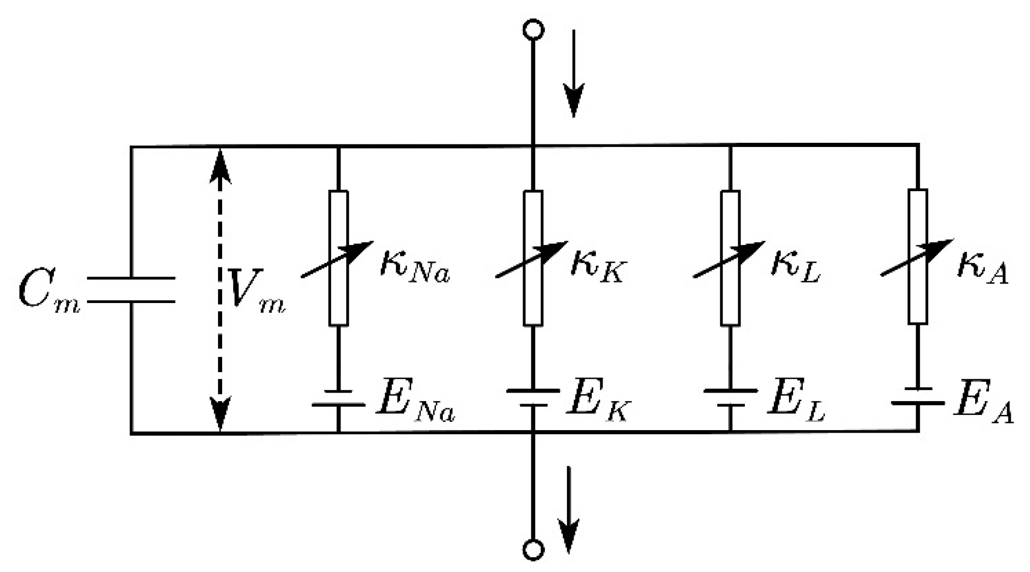 Micromachines 13 01402 g003