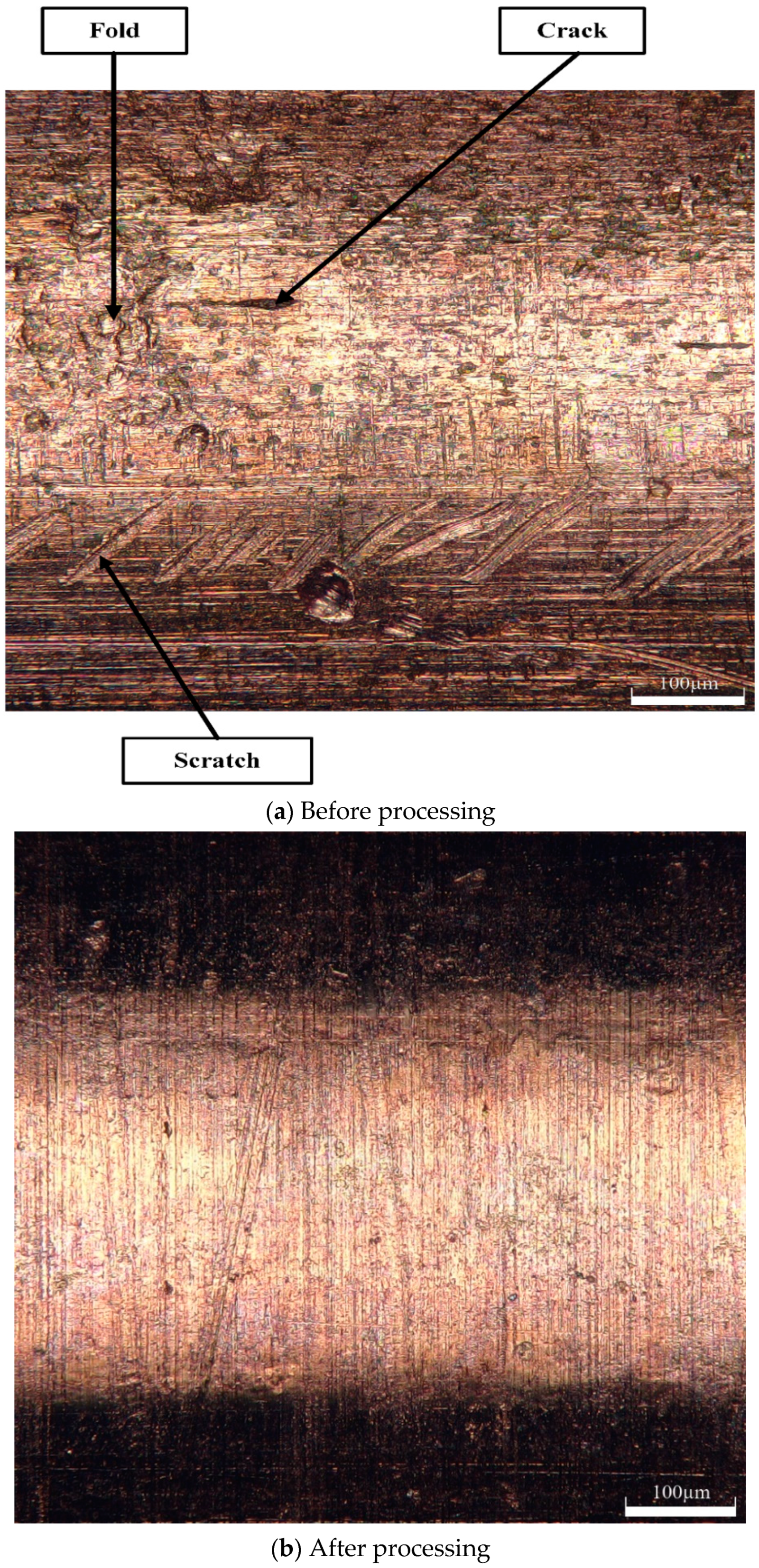 Micromachines 13 01405 g013