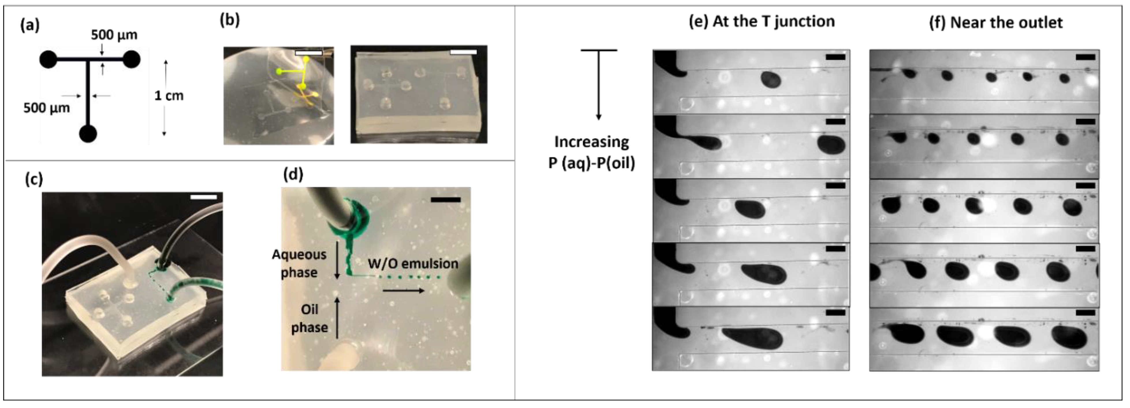 Micromachines 13 01408 g007