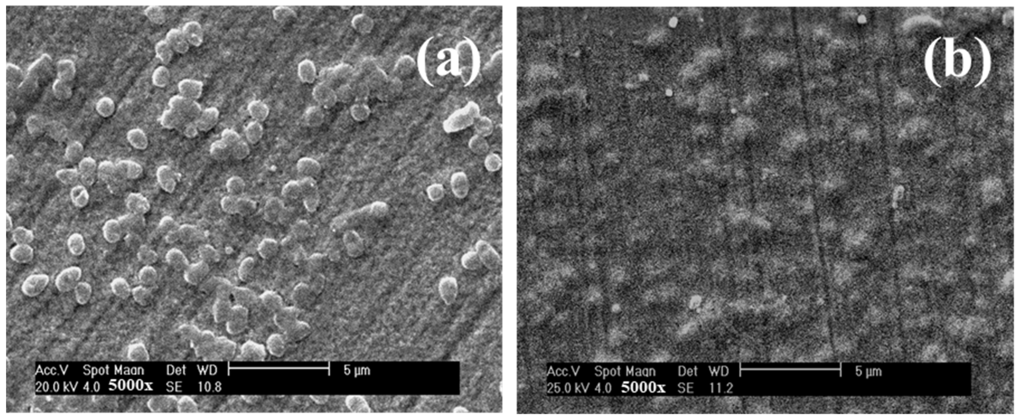 Micromachines 13 01411 g004