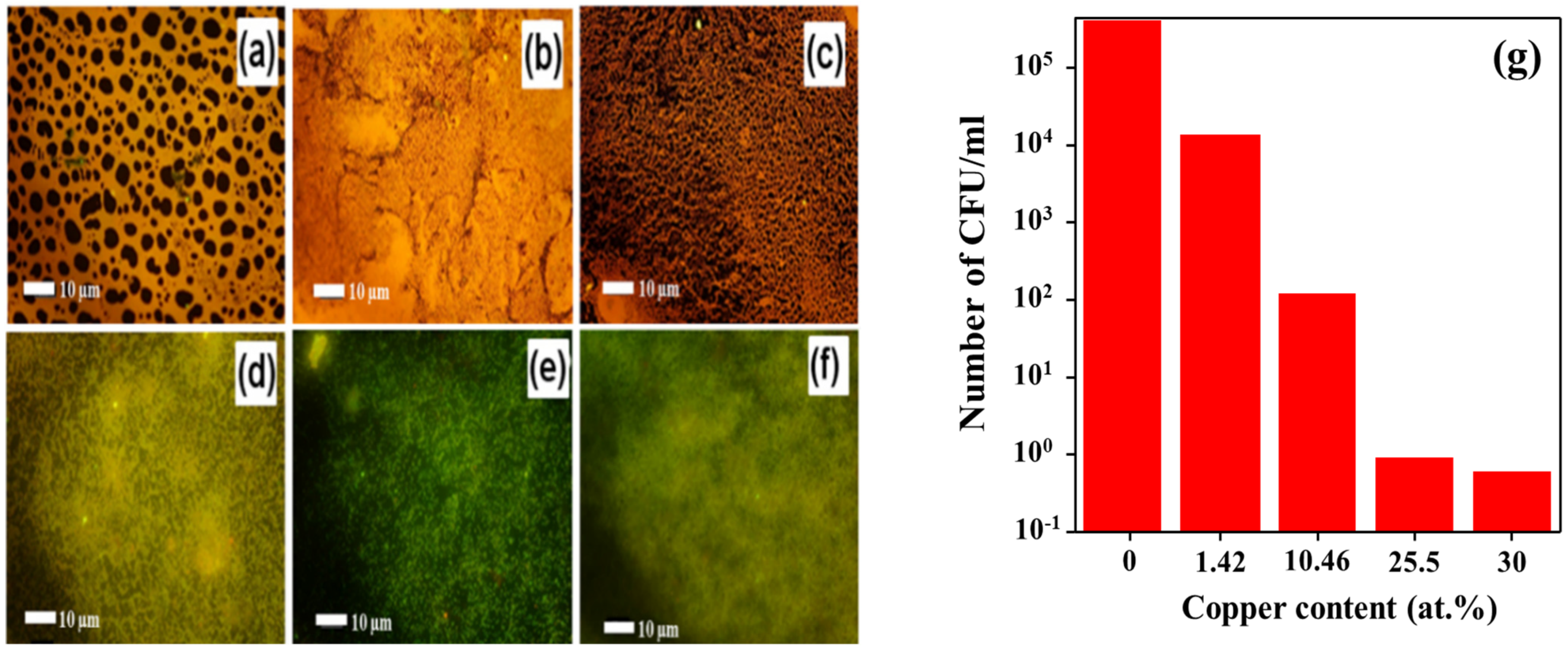 Micromachines 13 01411 g005