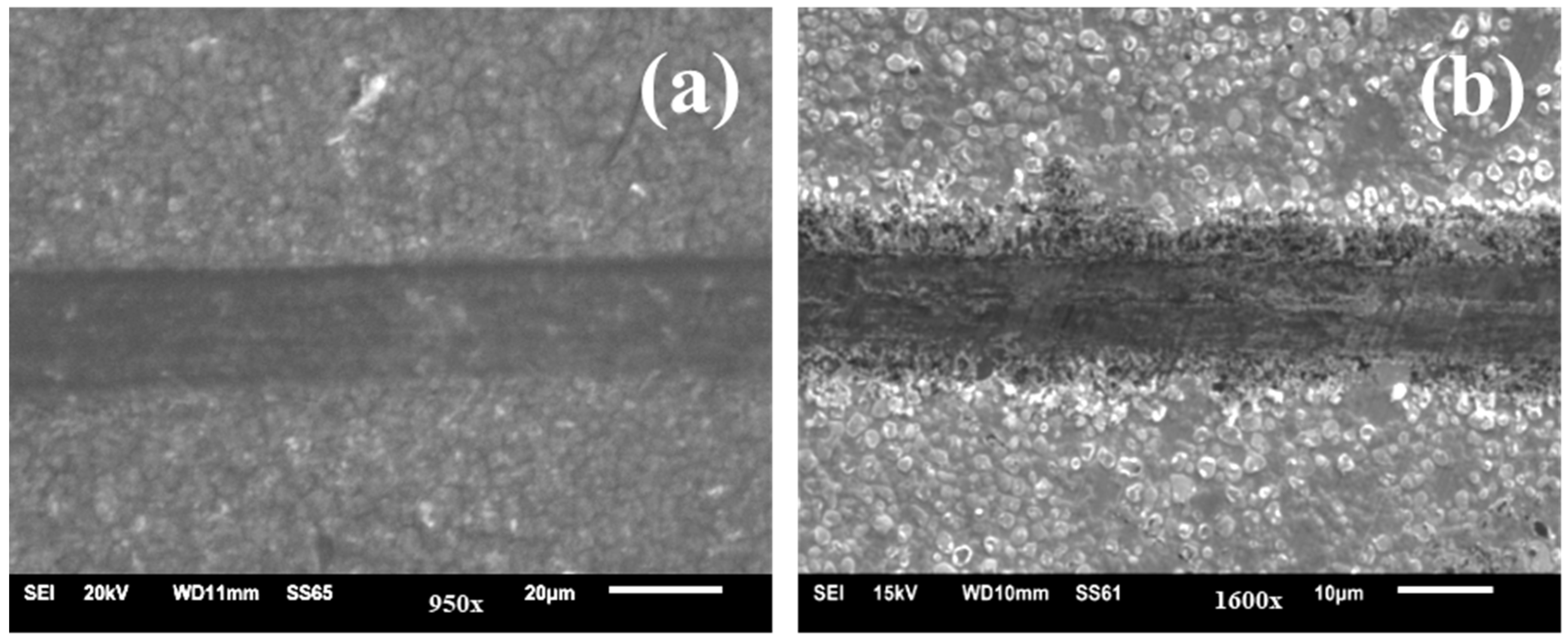 Micromachines 13 01411 g007