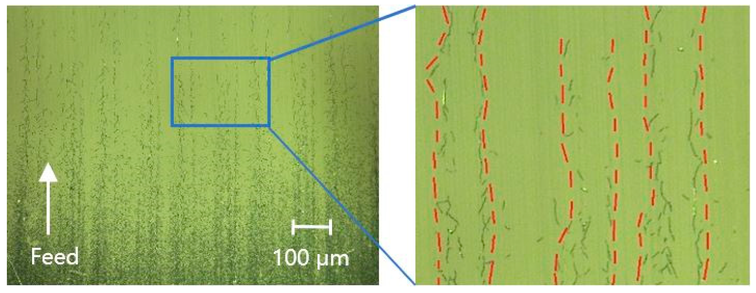 Micromachines 13 01421 g018