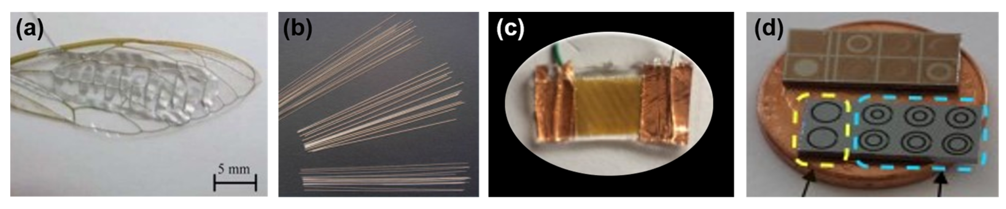 Micromachines 13 01422 g006