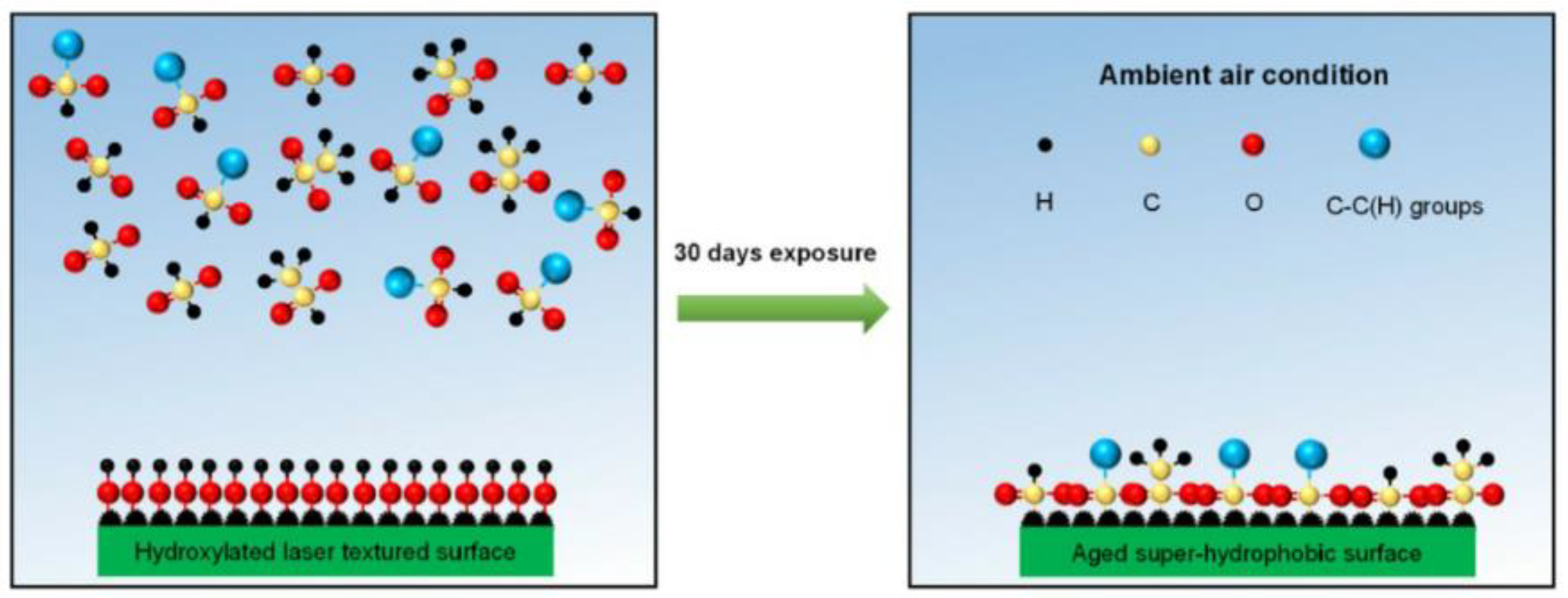Micromachines 13 01431 g007