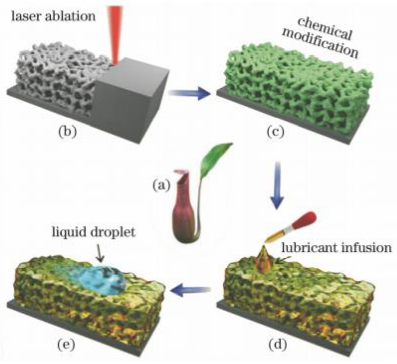Micromachines 13 01431 g010