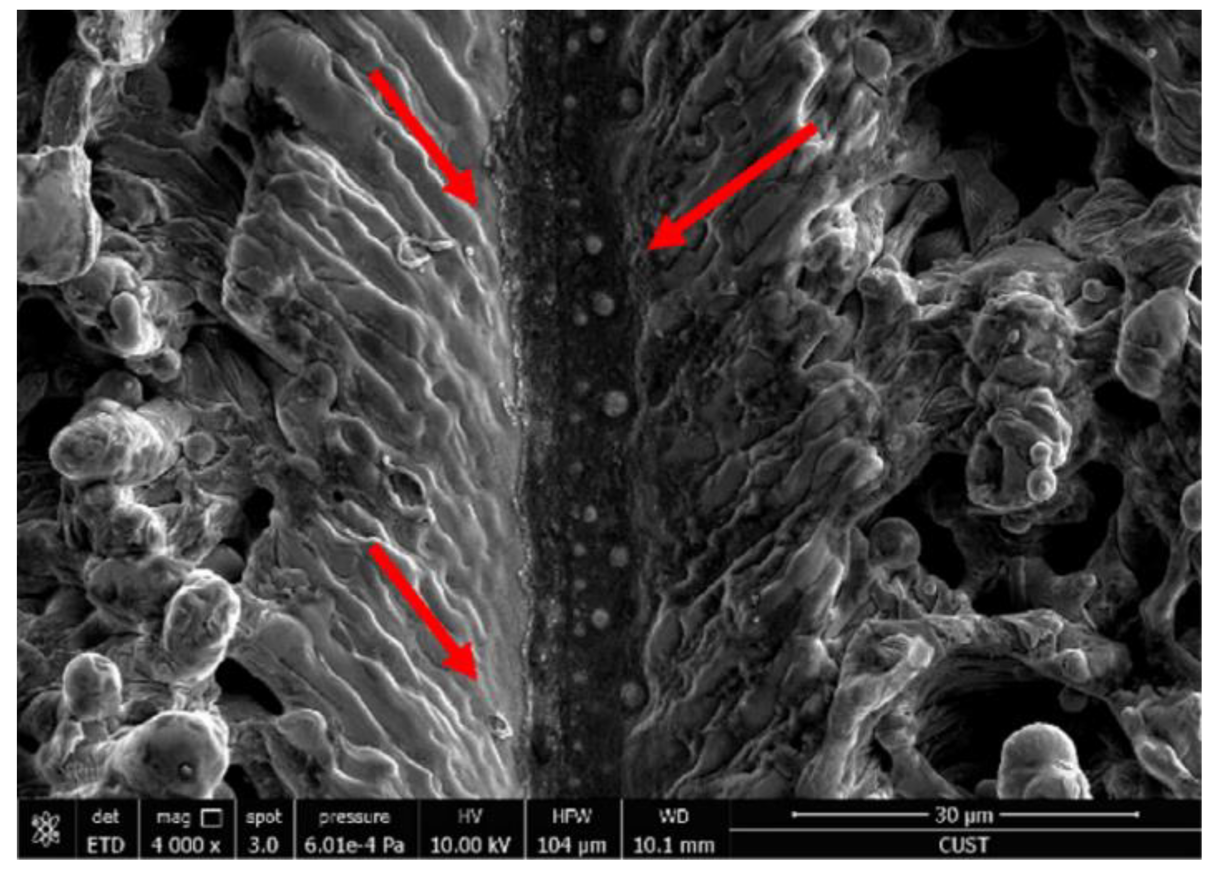 Micromachines 13 01431 g014