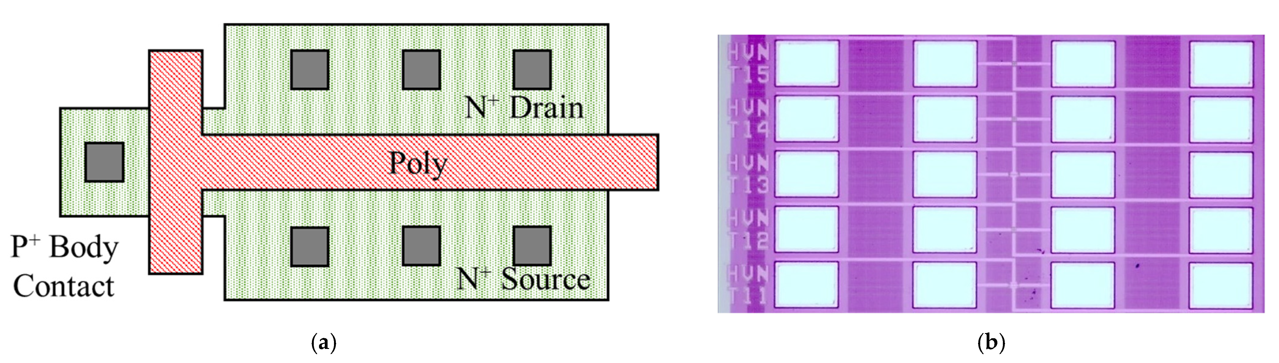 Micromachines 13 01432 g001