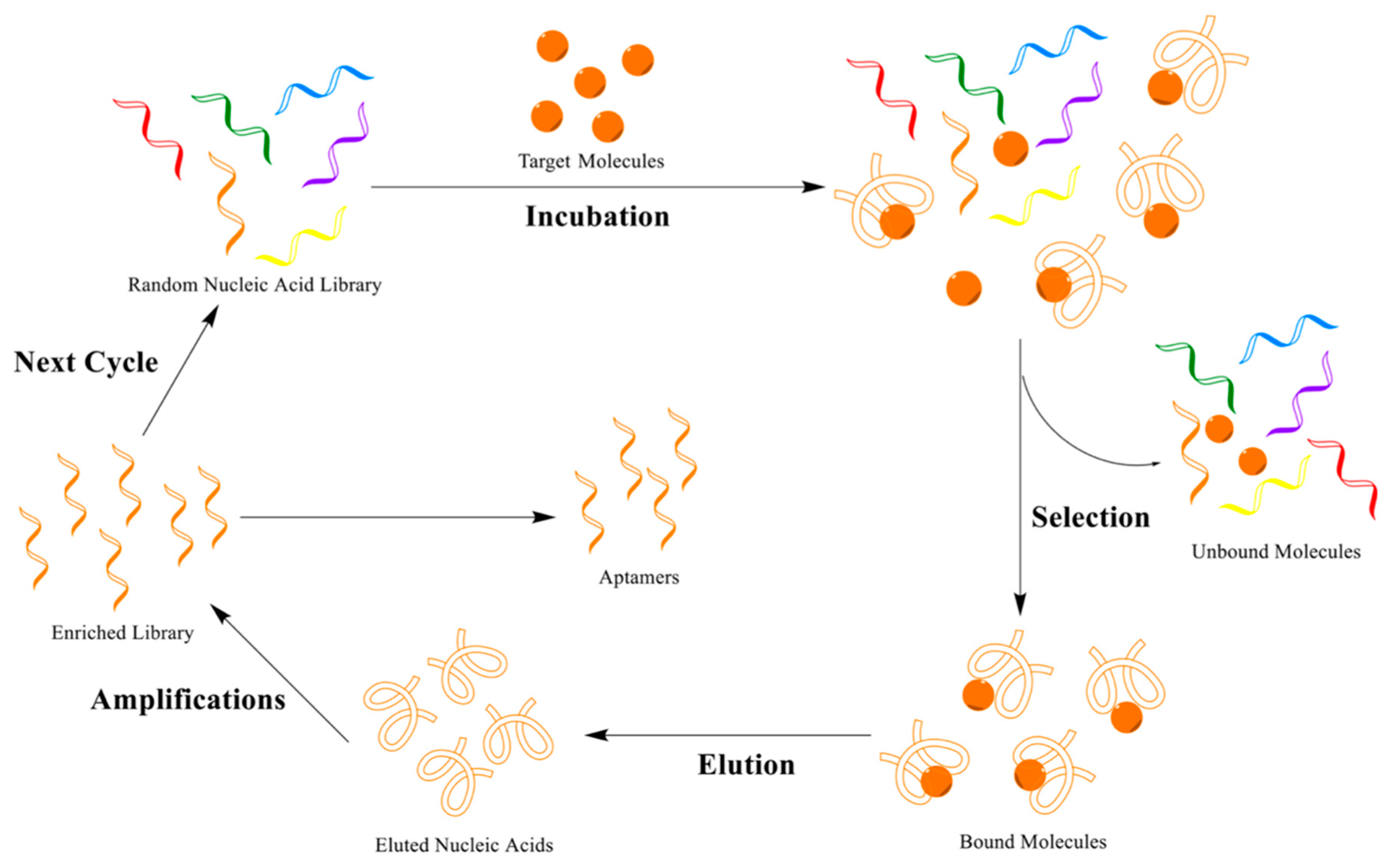 Micromachines 13 01441 g001