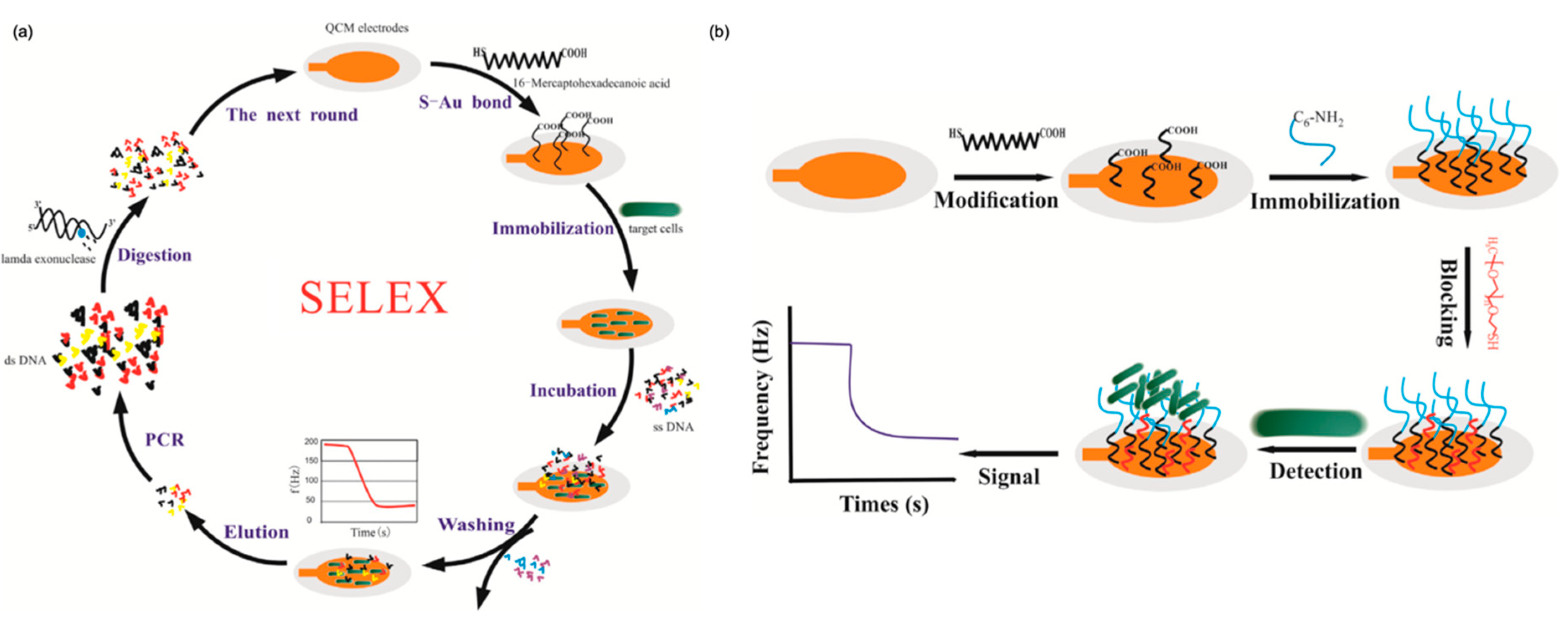Micromachines 13 01441 g006